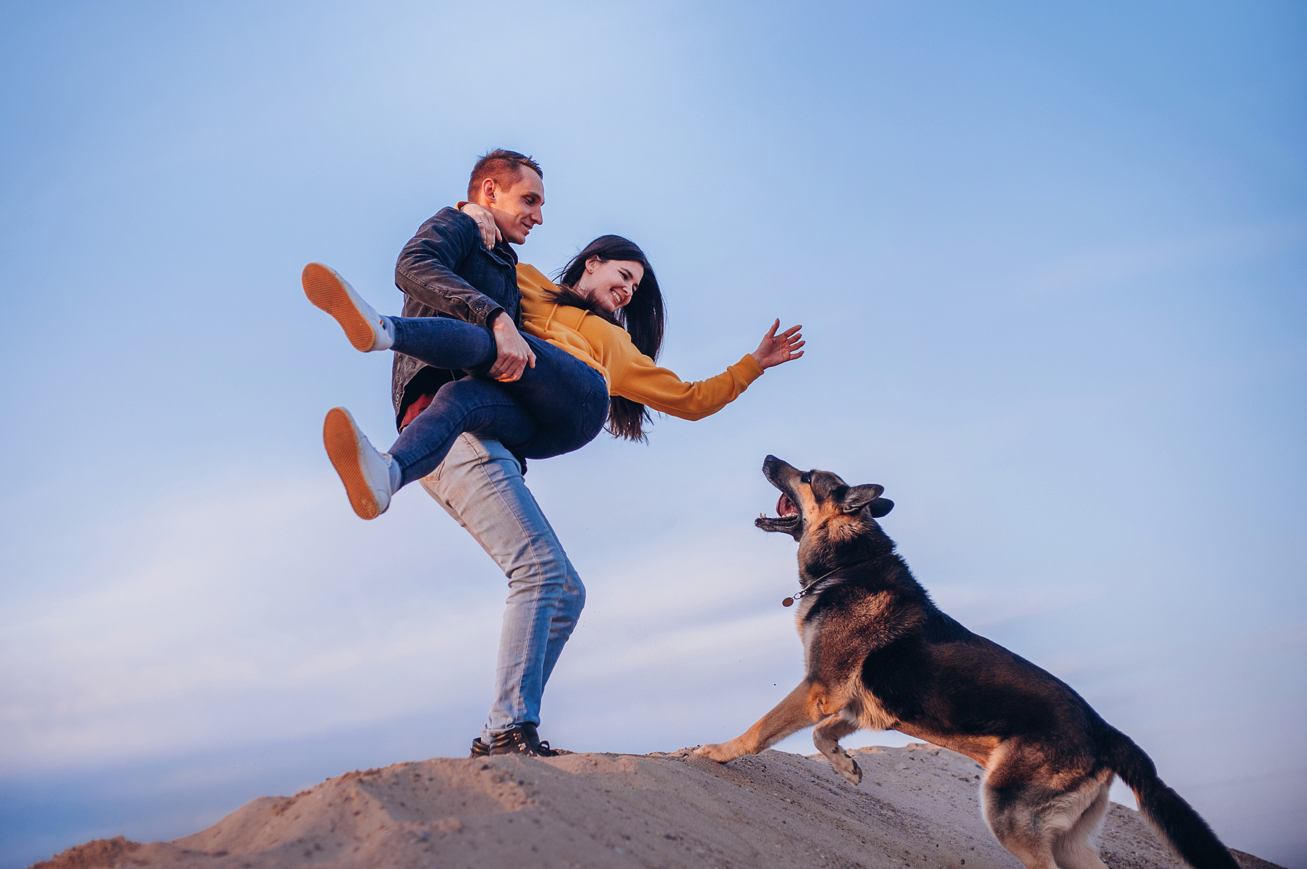 Бордер-колли Юппи, овчар Тайфун, Наташа и Дима. Портфолио