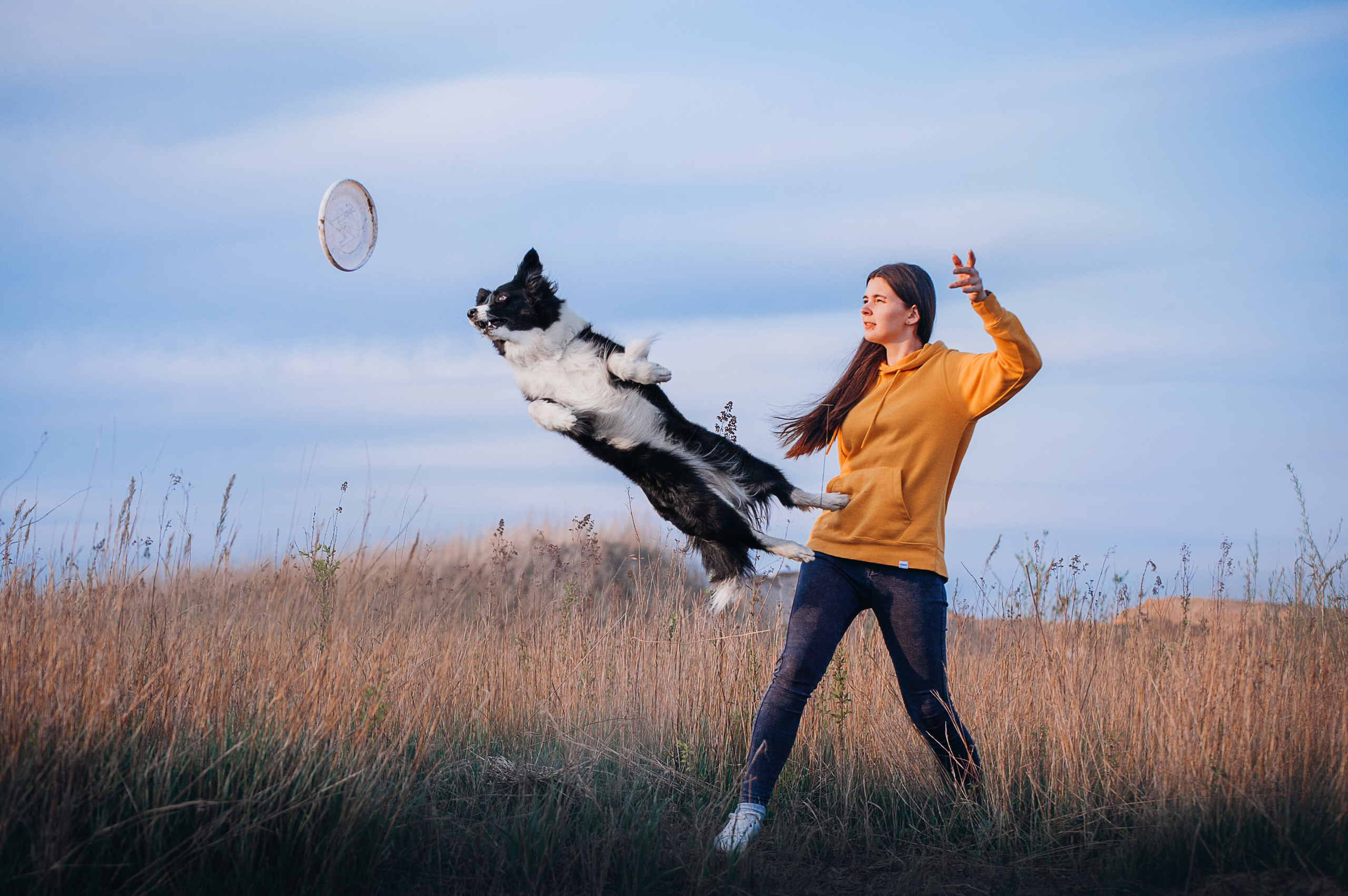Бордер-колли Юппи, овчар Тайфун, Наташа и Дима. Портфолио