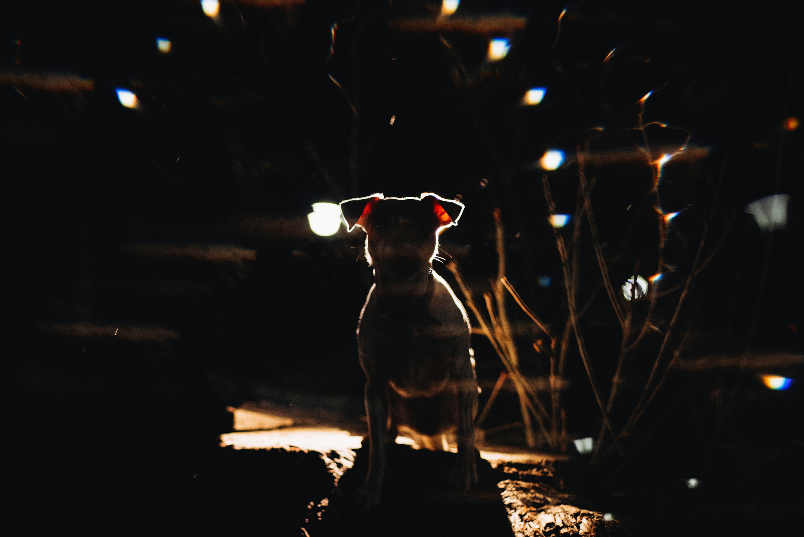 Темное: парсон Ева и Олеся. Портфолио