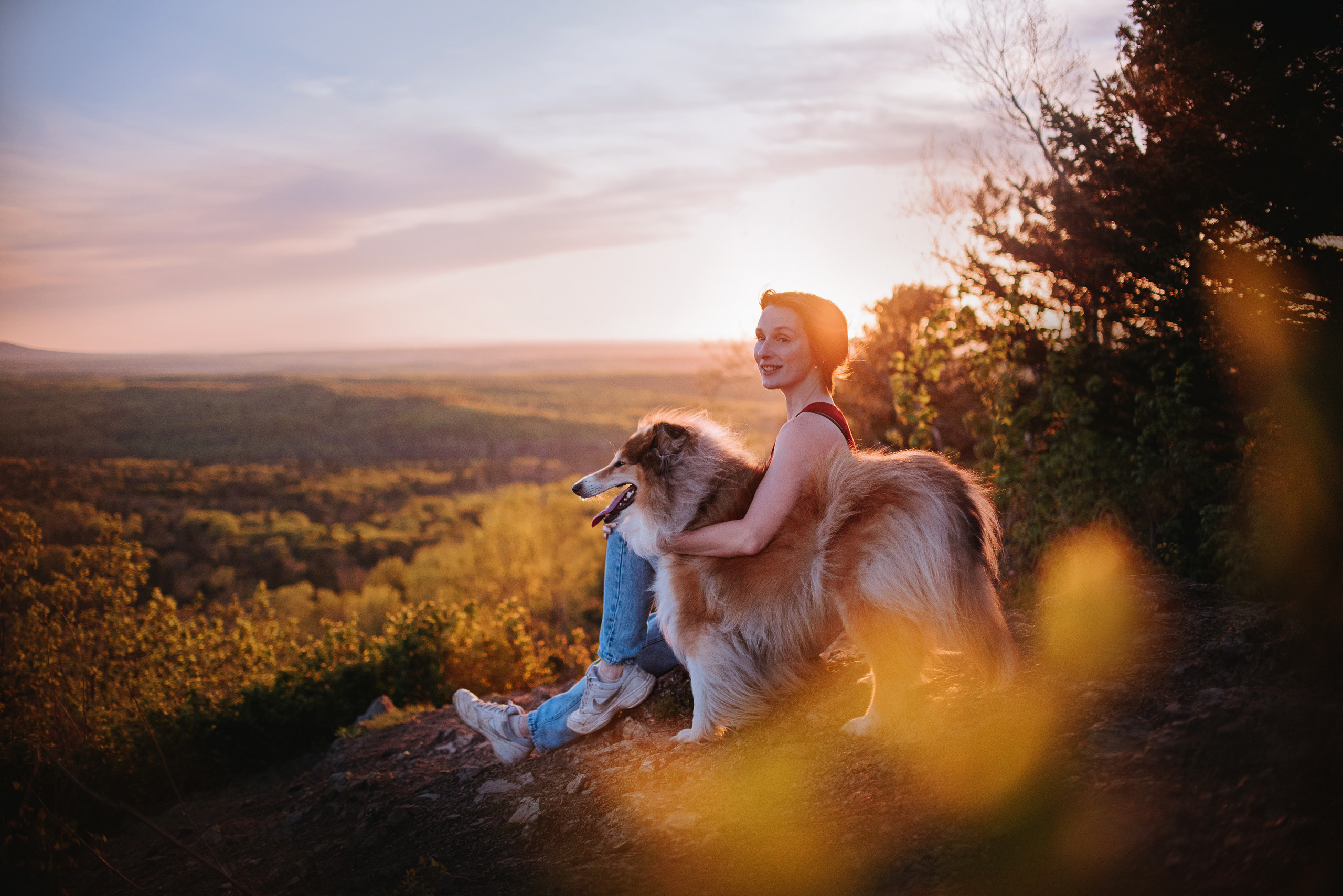 Колли Айра и Настя. Портфолио