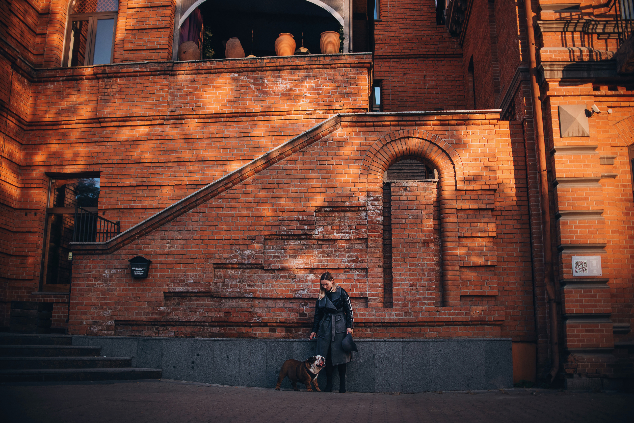 Рассвет в городе: бульдог Роберт и Юля. Портфолио