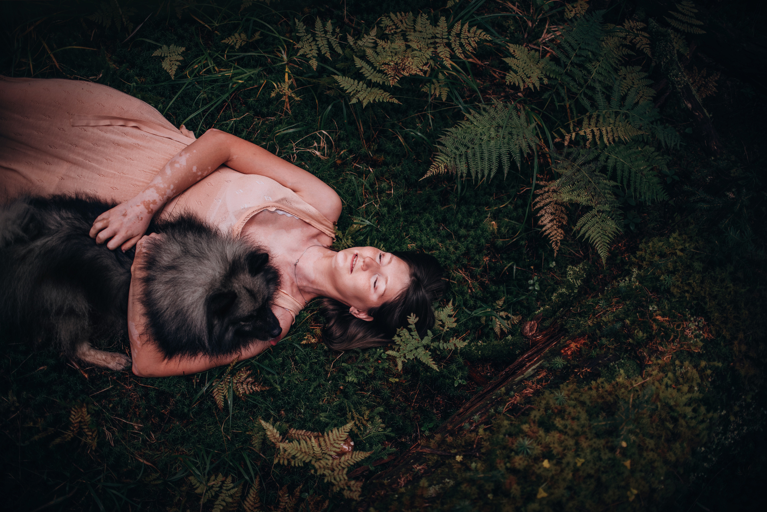 Амут: кеесхонд Верона, малинуа Бэрри, Юля и Леша. Портфолио