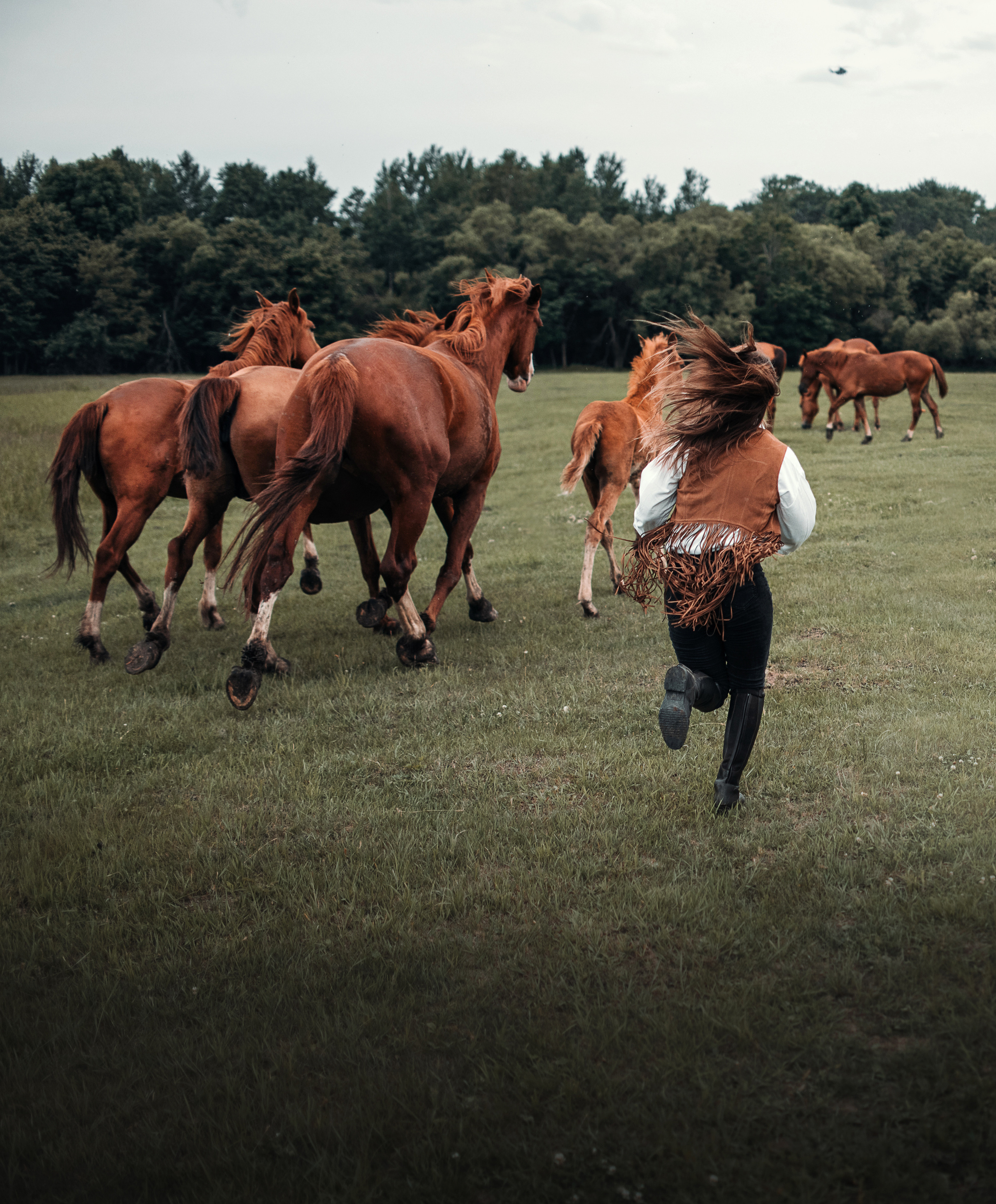 Конное: Катя и табун. Портфолио
