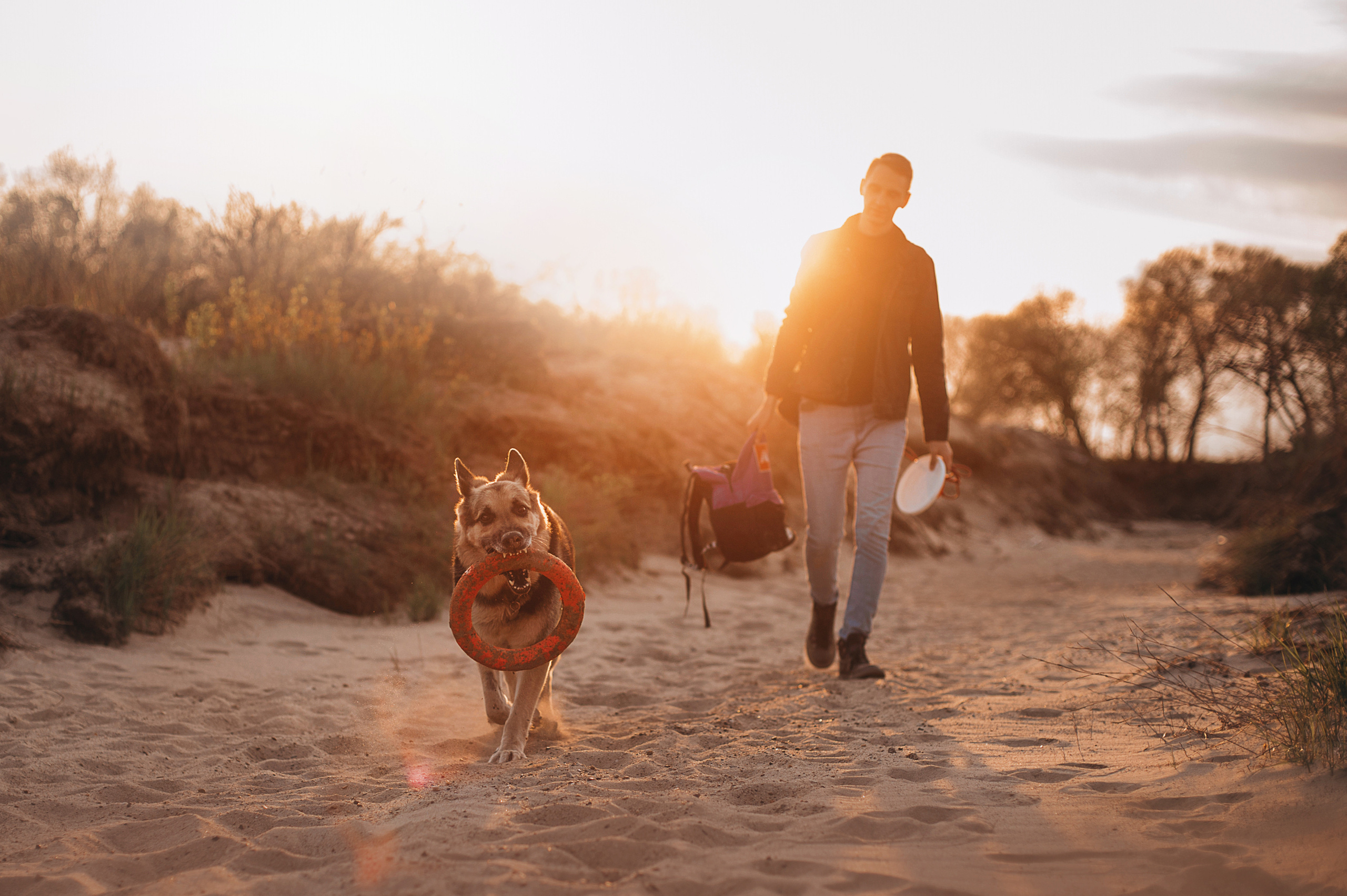 Бордер-колли Юппи, овчар Тайфун, Наташа и Дима. Портфолио