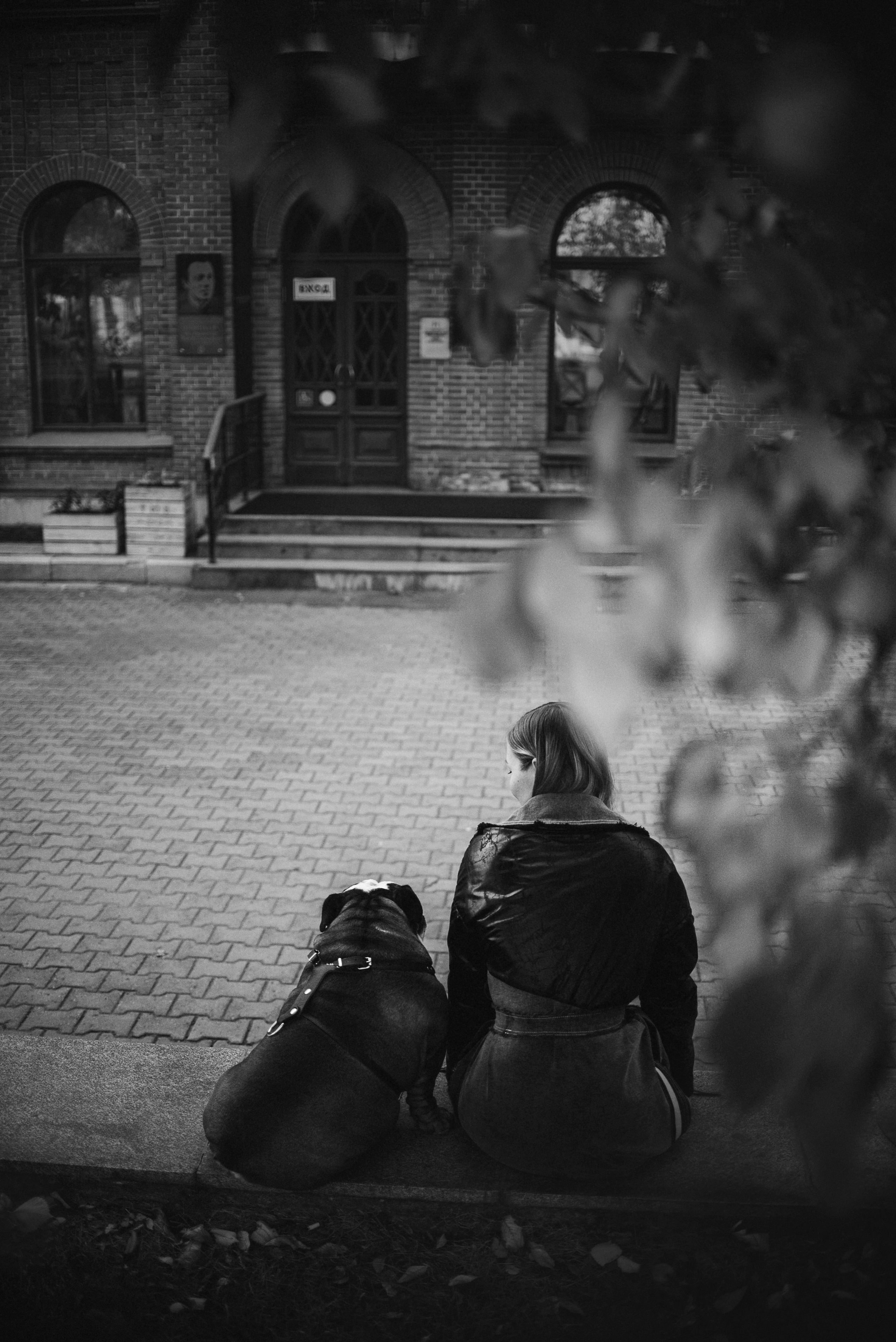 Рассвет в городе: бульдог Роберт и Юля. Портфолио