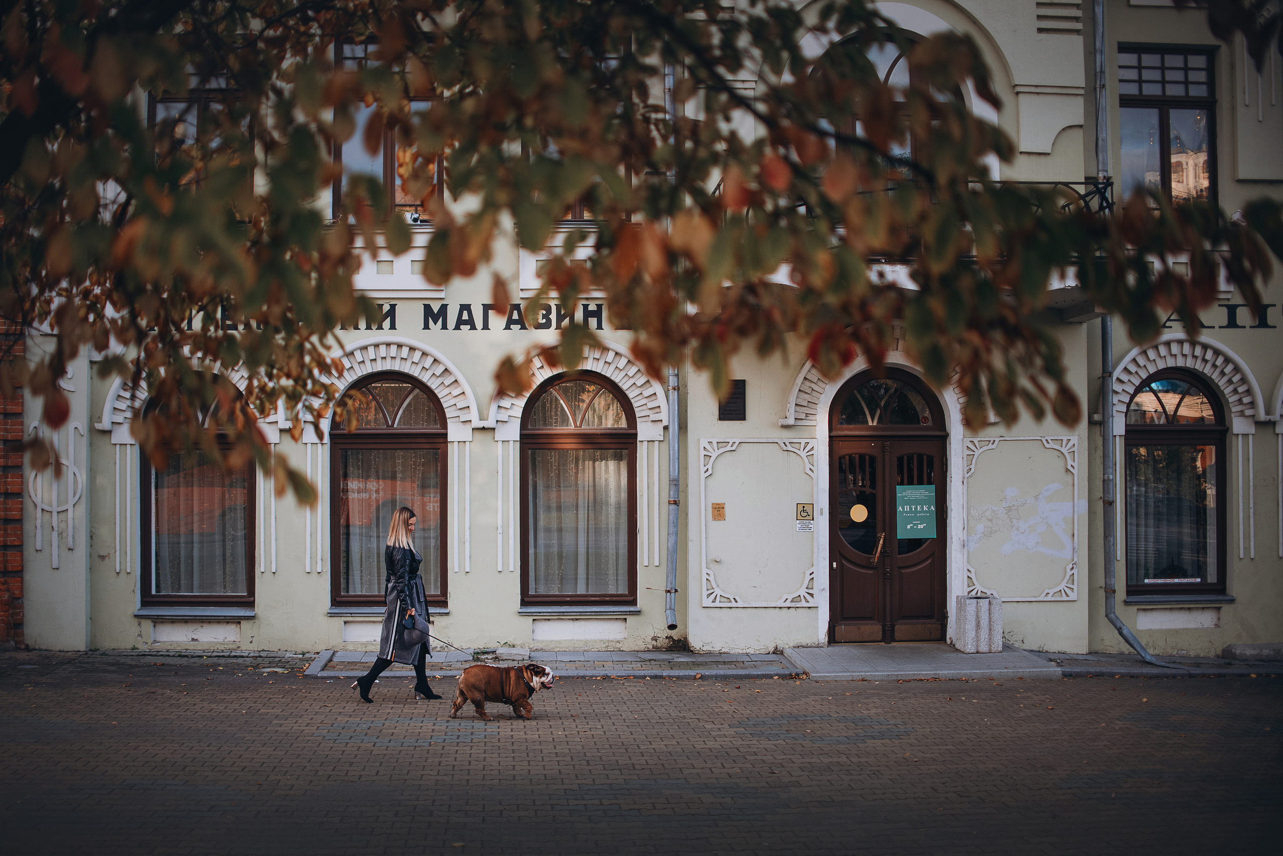 Рассвет в городе: бульдог Роберт и Юля. Портфолио