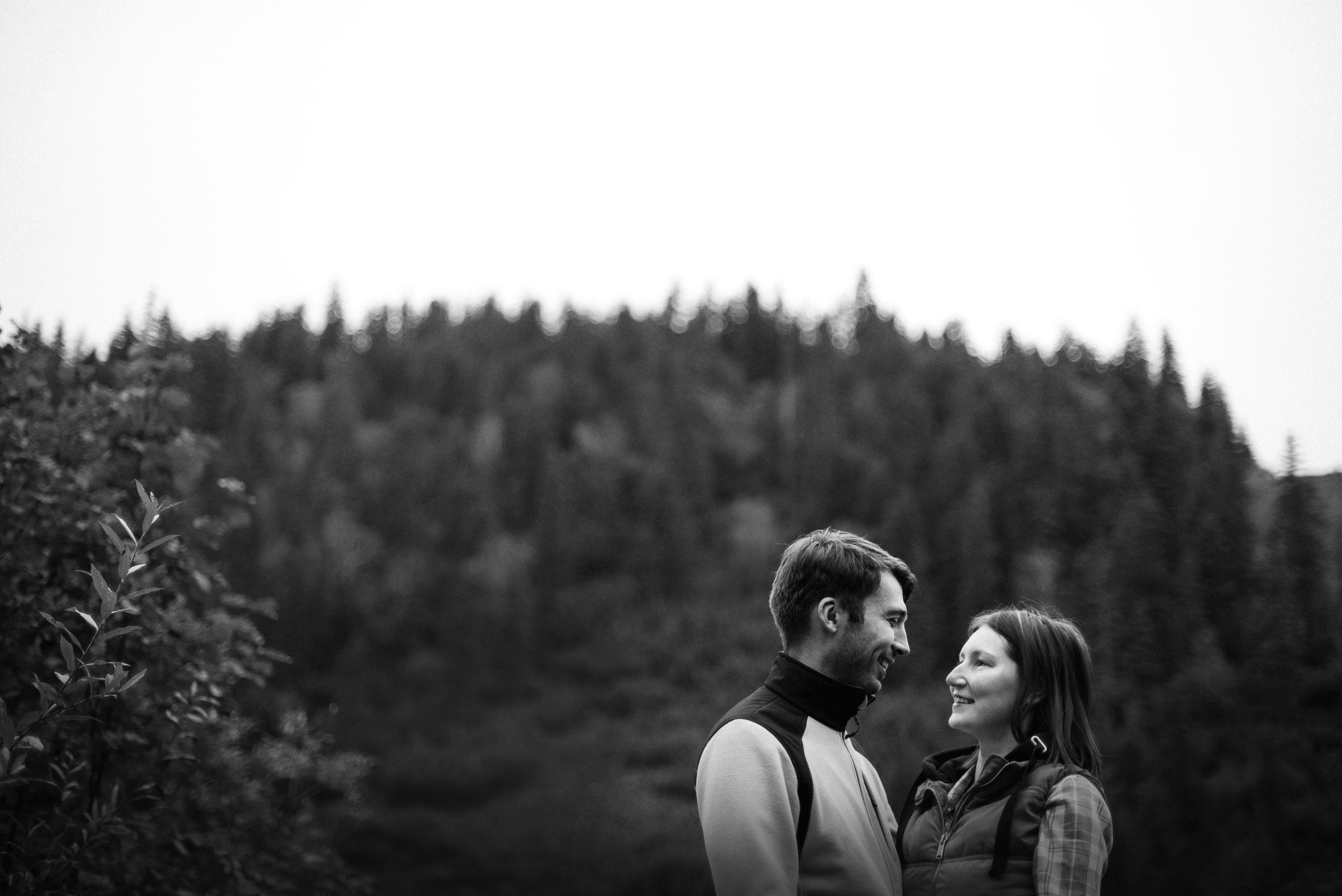 Амут: кеесхонд Верона, малинуа Бэрри, Юля и Леша. Портфолио