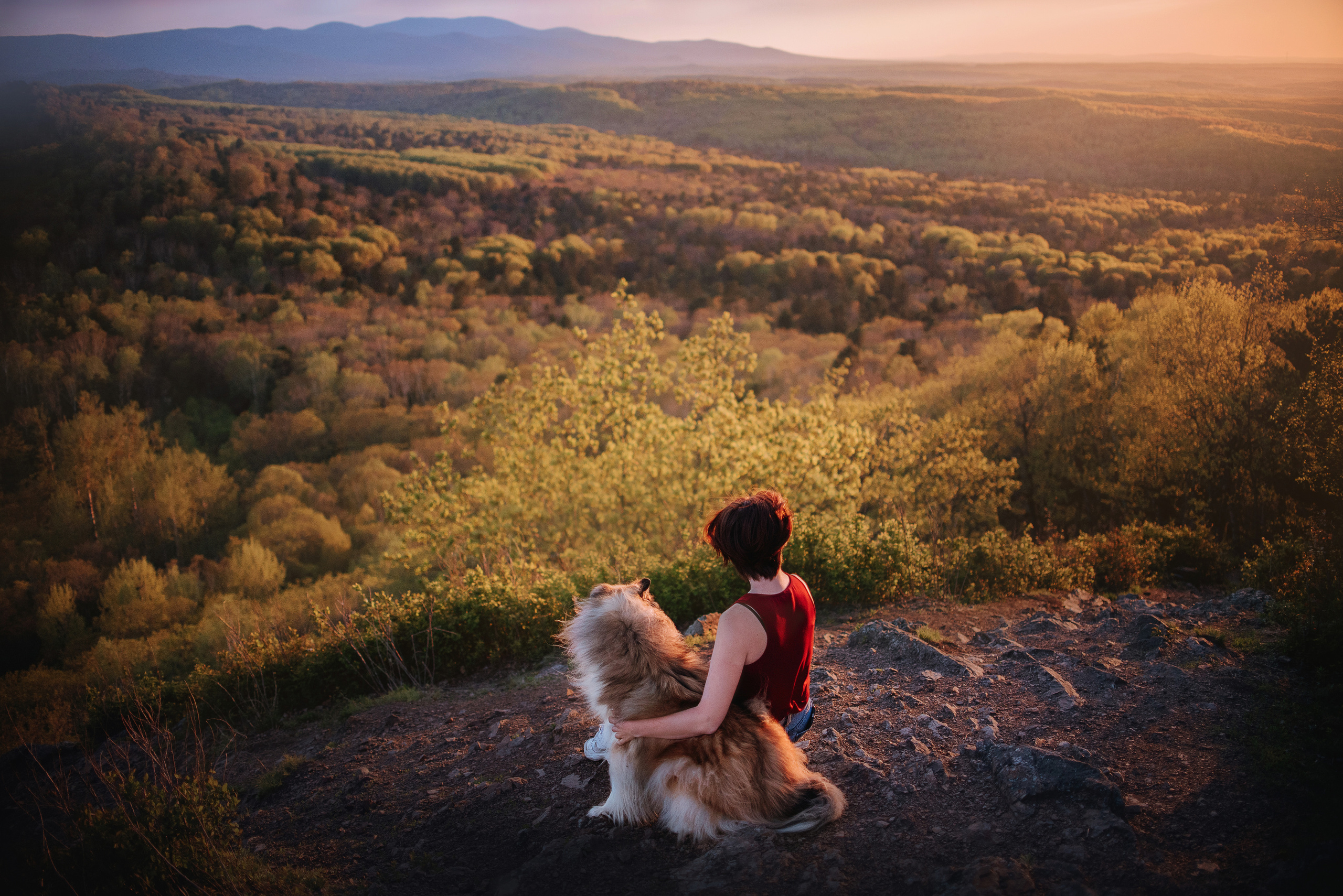 Колли Айра и Настя. Портфолио