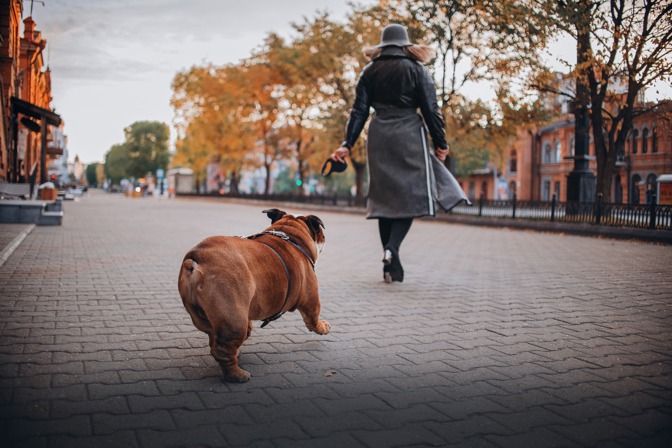 Рассвет в городе: бульдог Роберт и Юля. Портфолио
