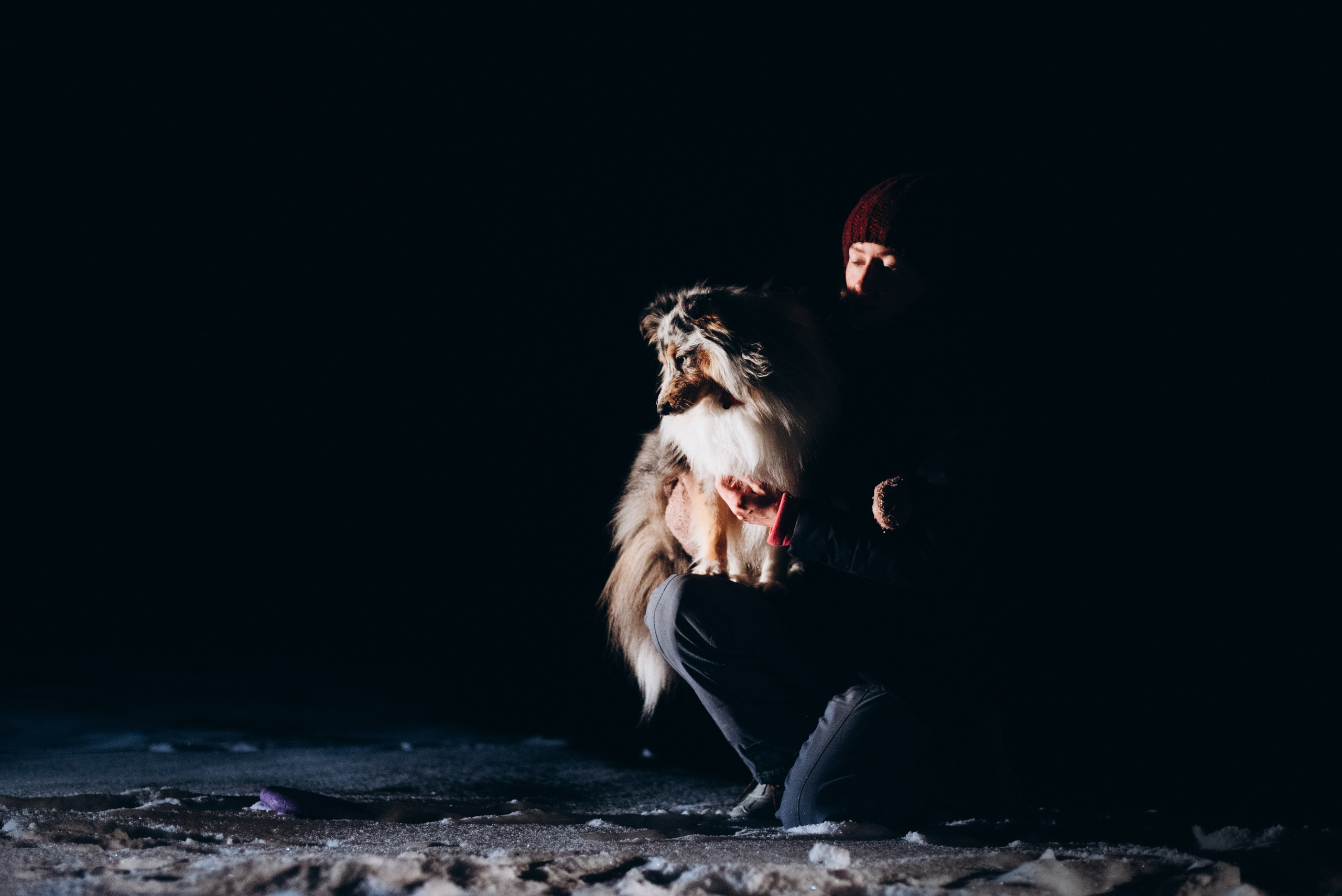 Шелти Расс. Портфолио