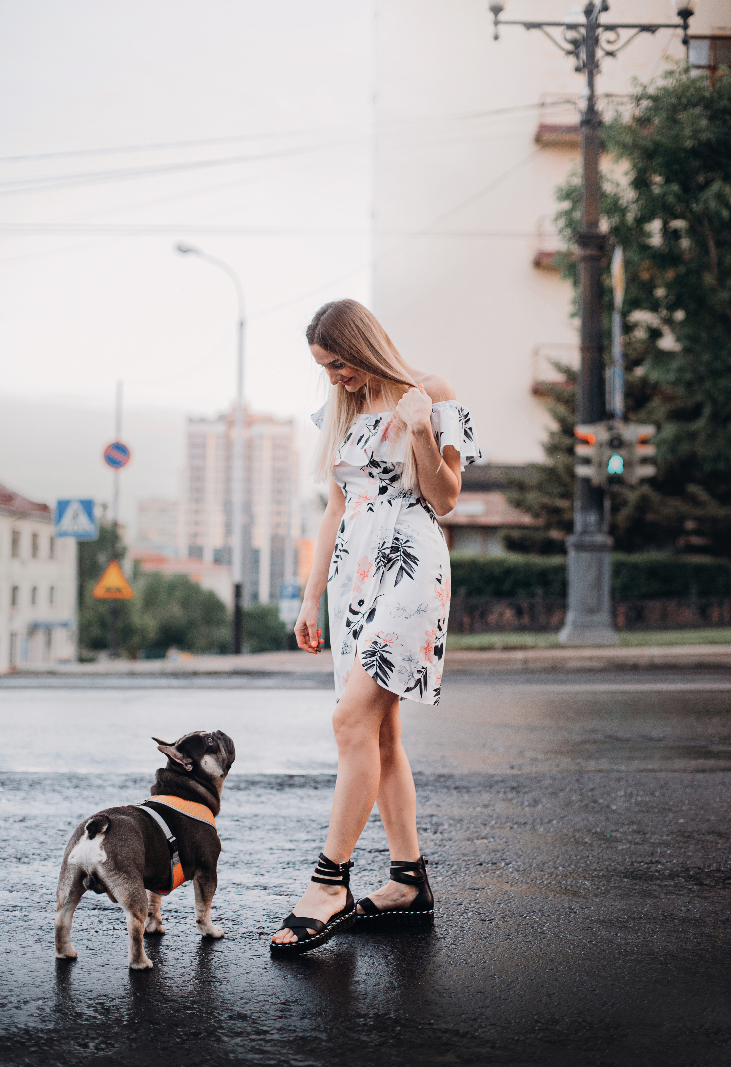 Рассвет в городе: французские бульдоги Лео и Фрэнк и Алена. Портфолио