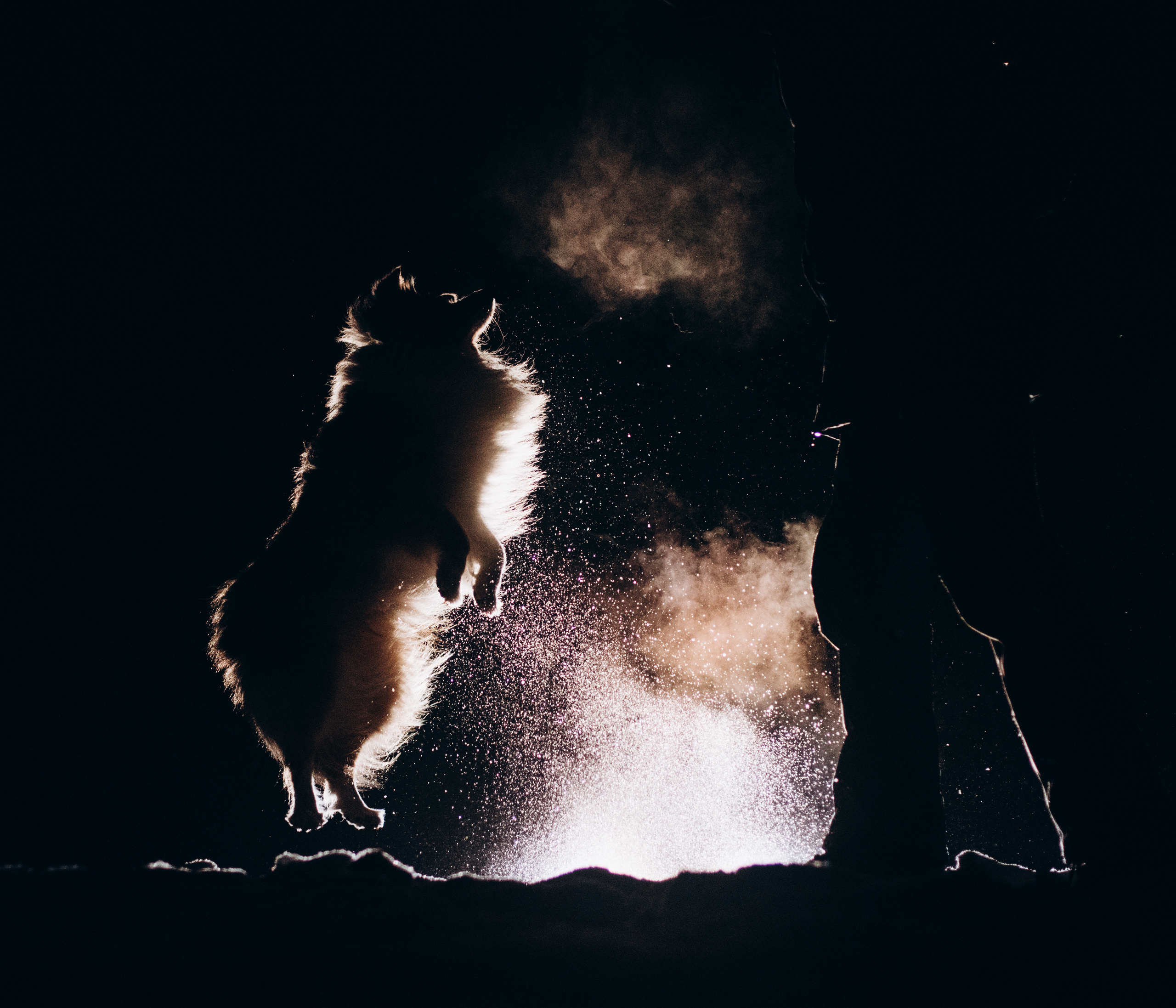 Шелти Расс. Портфолио