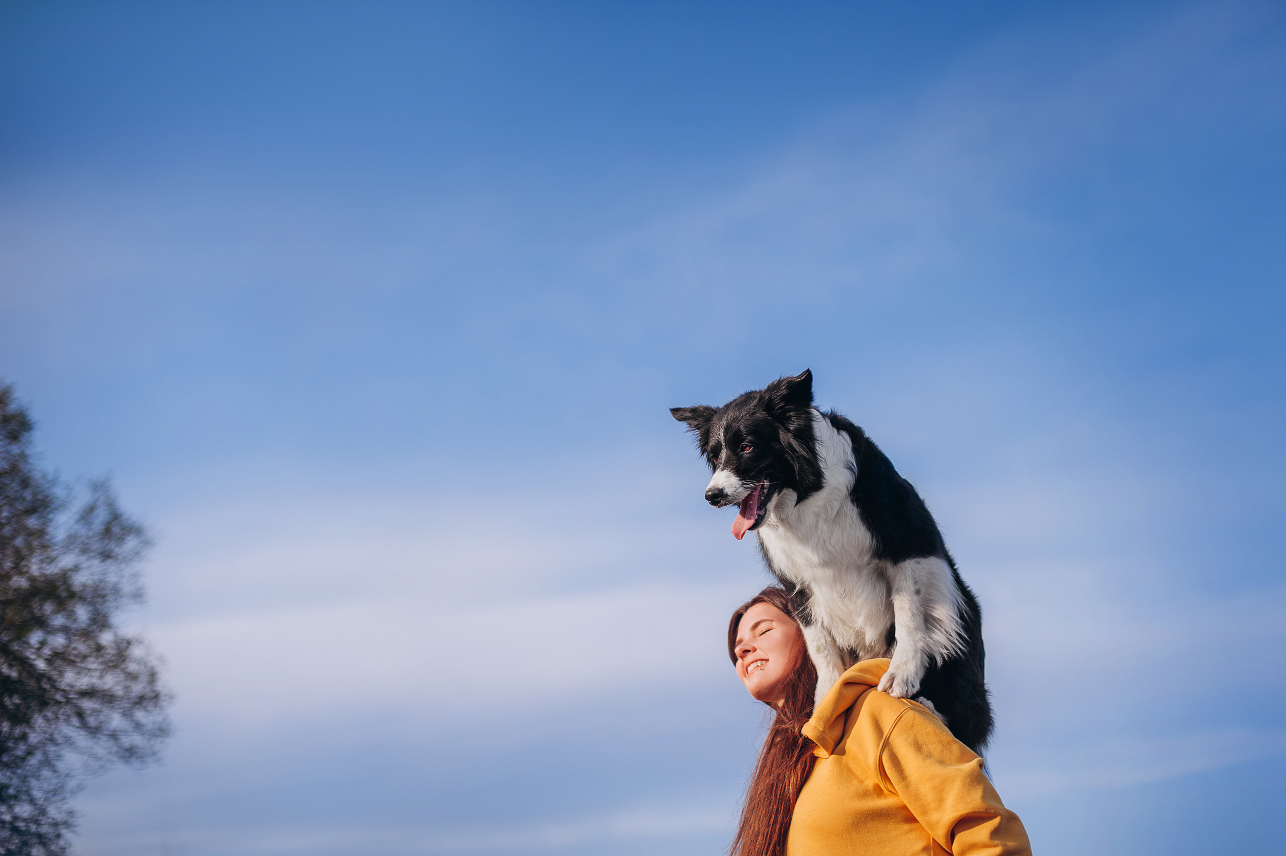 Бордер-колли Юппи, овчар Тайфун, Наташа и Дима. Портфолио