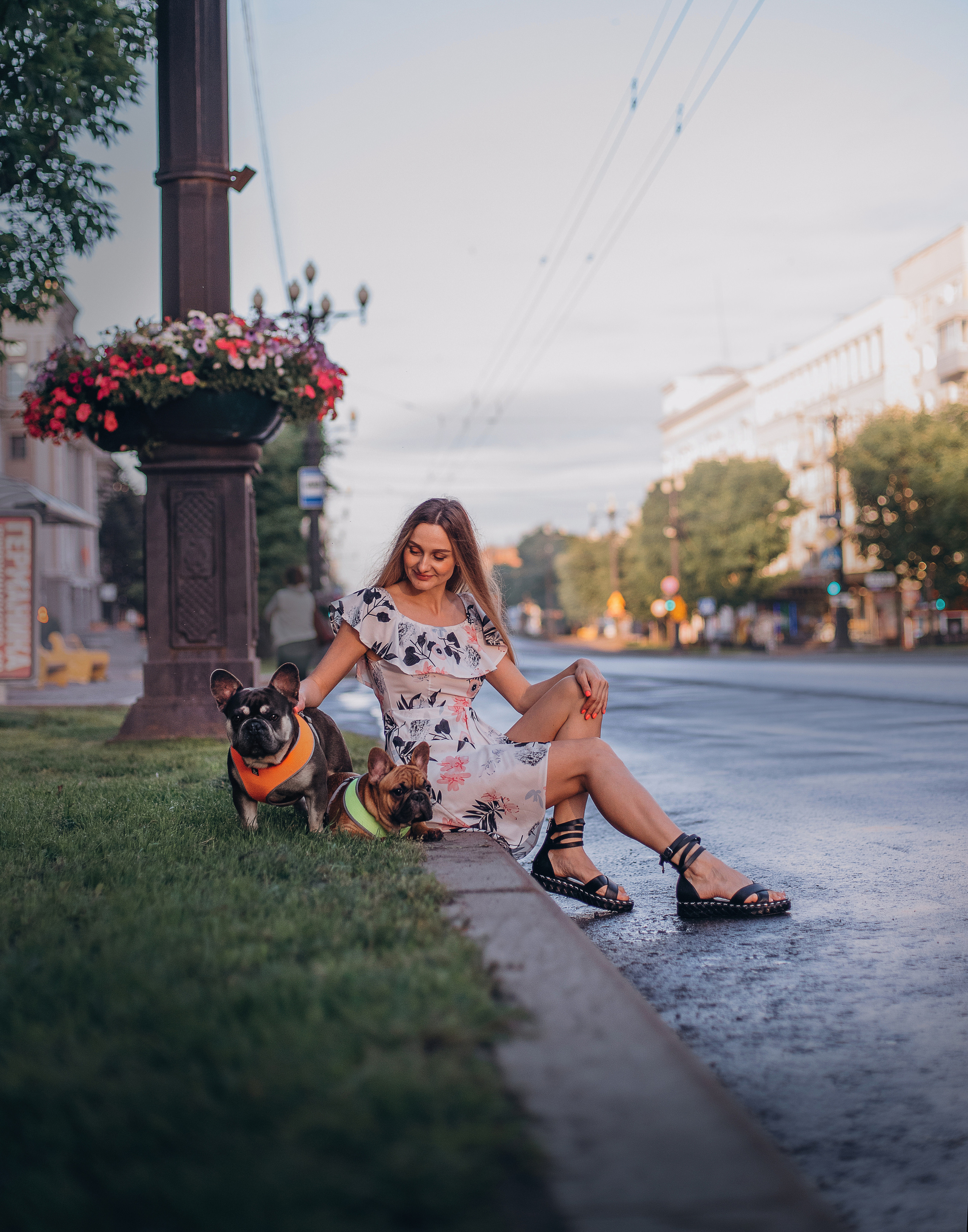 Рассвет в городе: французские бульдоги Лео и Фрэнк и Алена. Портфолио