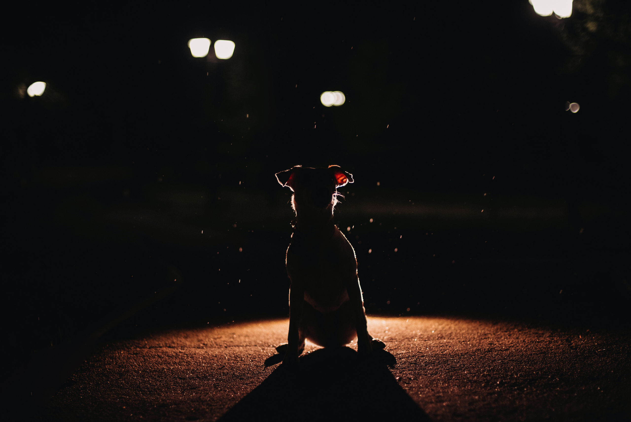 Темное: парсон Ева и Олеся. Портфолио