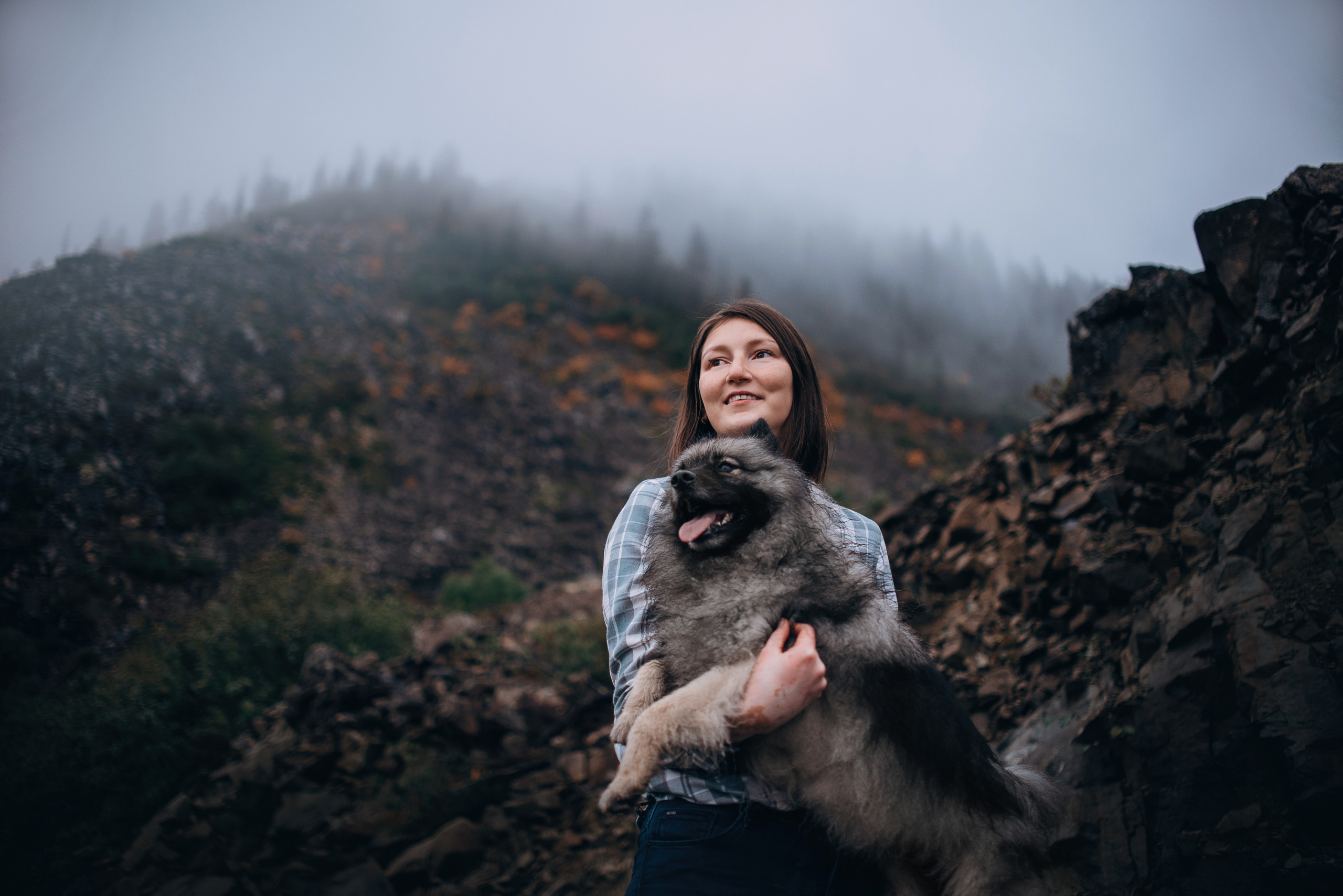 Амут: кеесхонд Верона, малинуа Бэрри, Юля и Леша. Портфолио