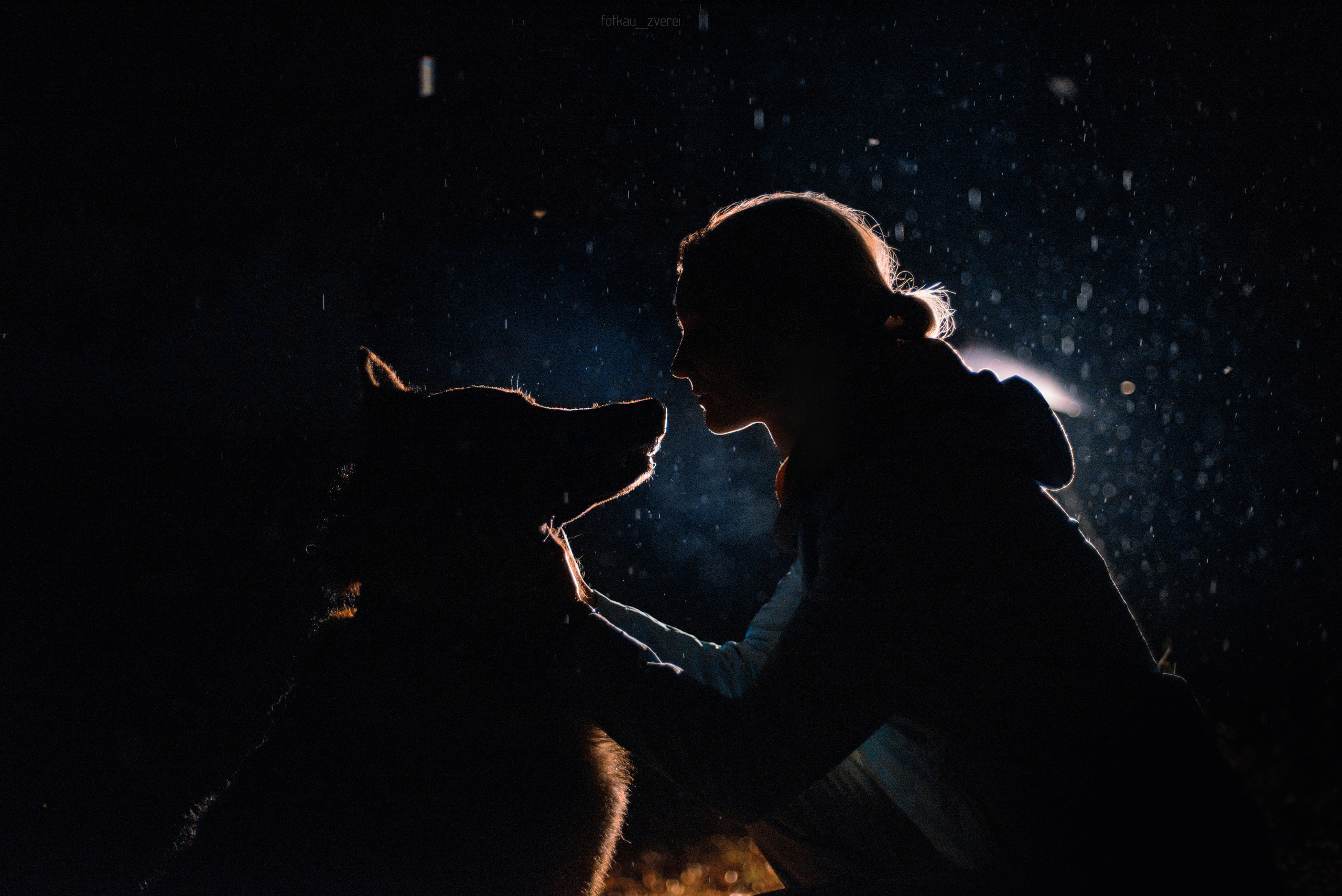 Темное: овчарка Ермак и Ира в лесу под дождем. Портфолио