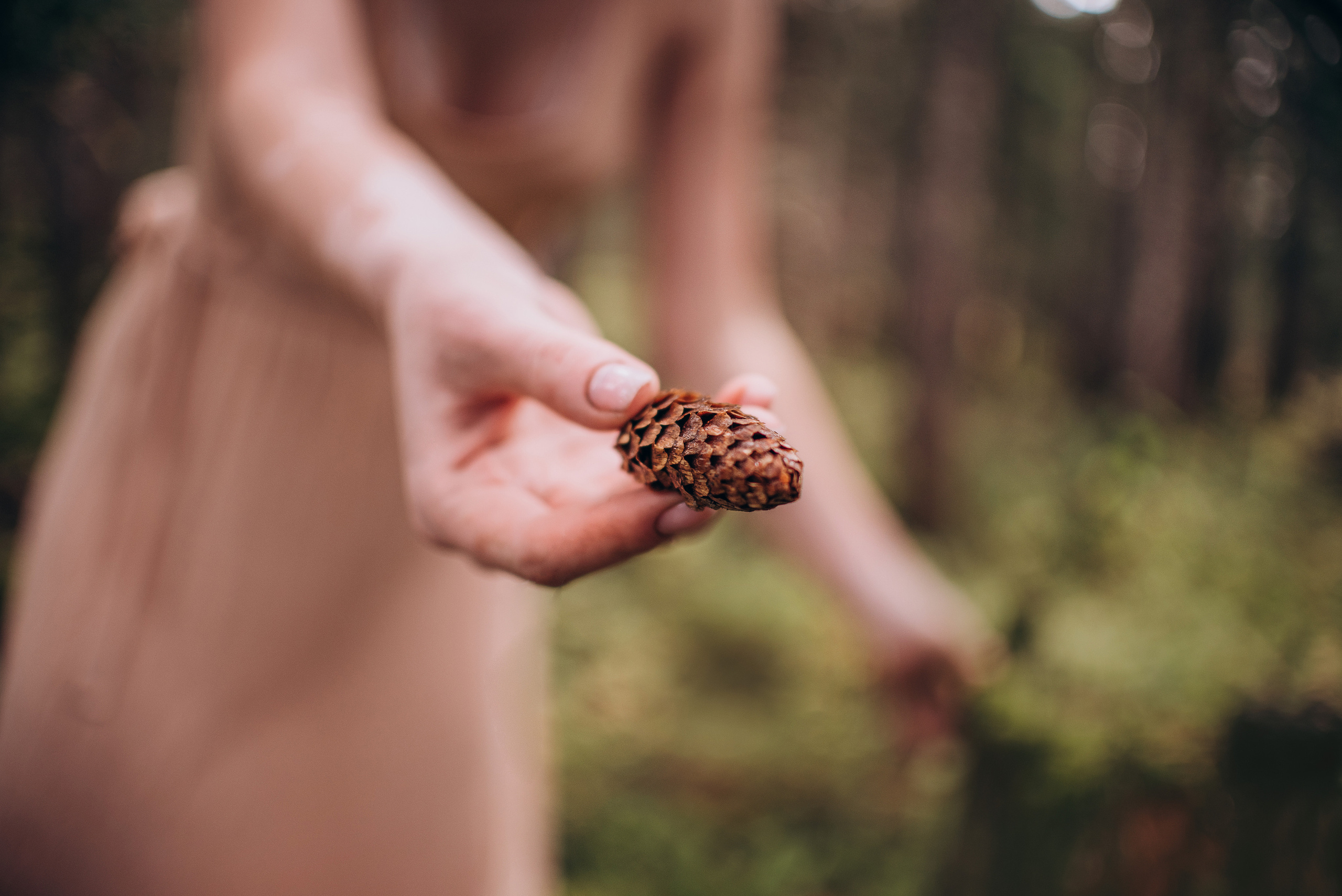 Амут: кеесхонд Верона, малинуа Бэрри, Юля и Леша. Портфолио