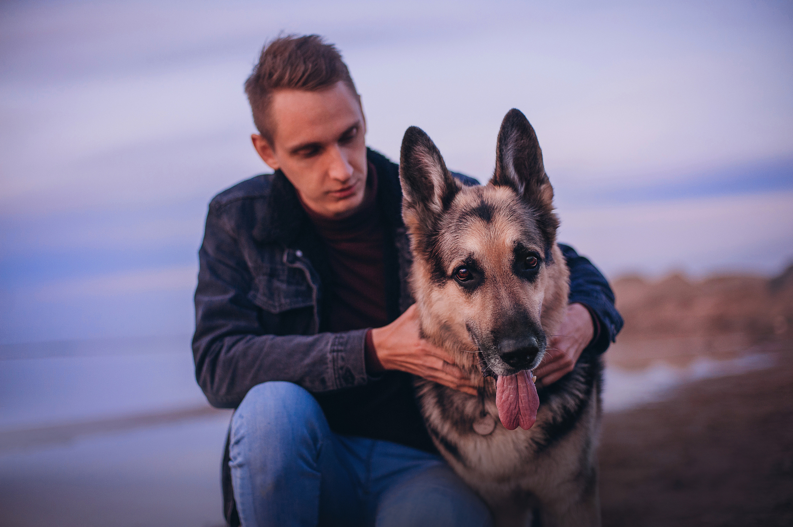 Бордер-колли Юппи, овчар Тайфун, Наташа и Дима. Портфолио