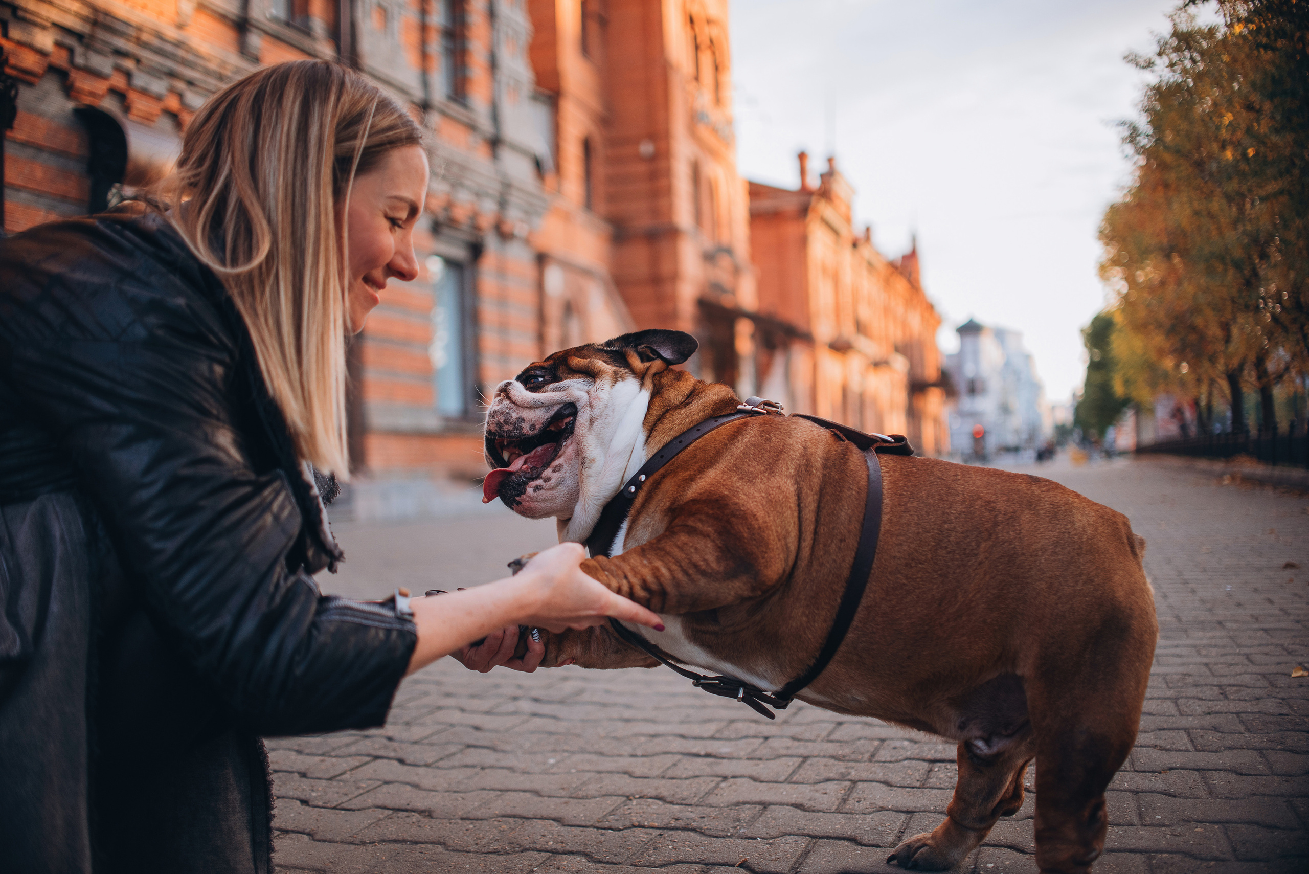Рассвет в городе: бульдог Роберт и Юля. Портфолио