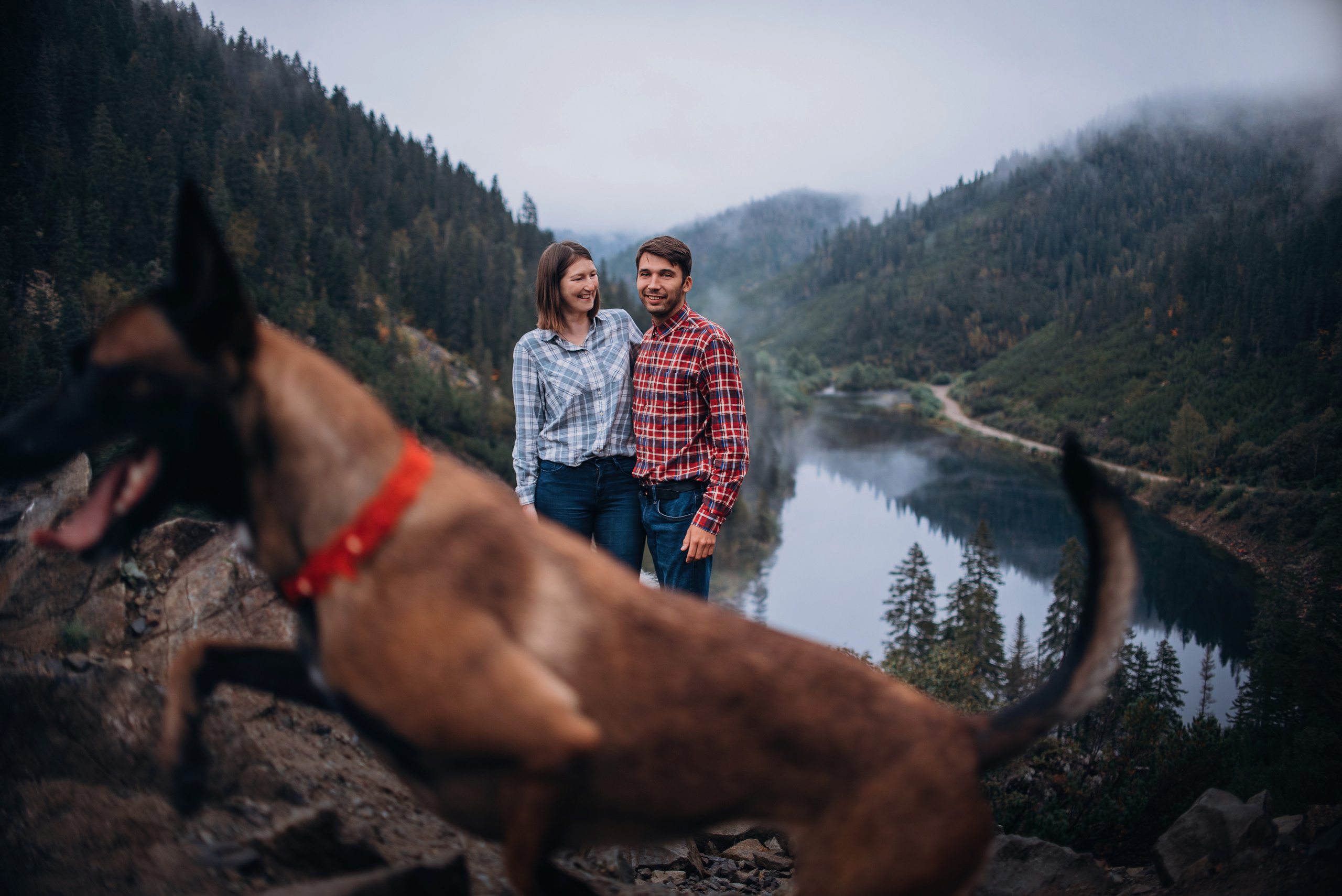 Амут: кеесхонд Верона, малинуа Бэрри, Юля и Леша. Портфолио