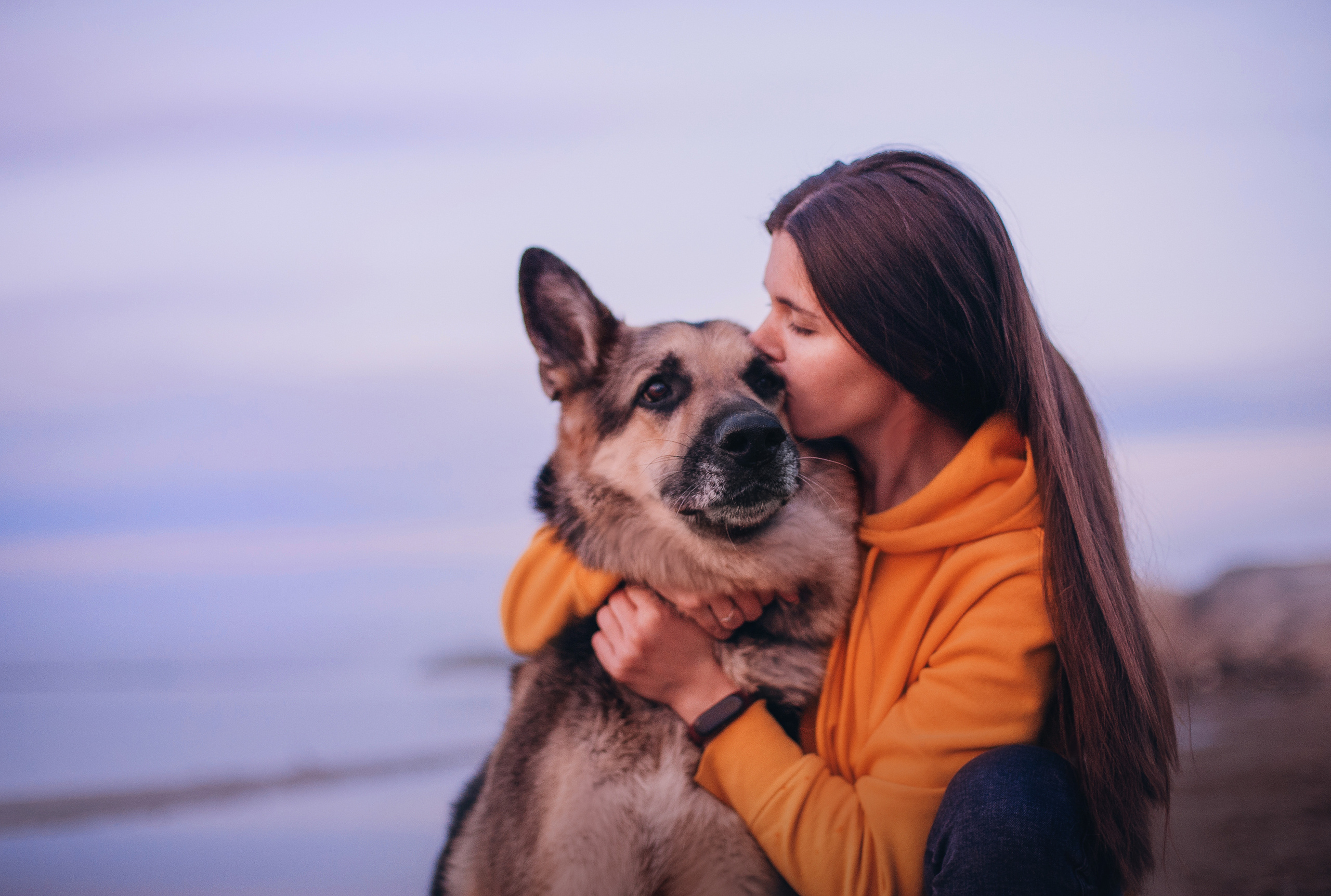 Бордер-колли Юппи, овчар Тайфун, Наташа и Дима. Портфолио