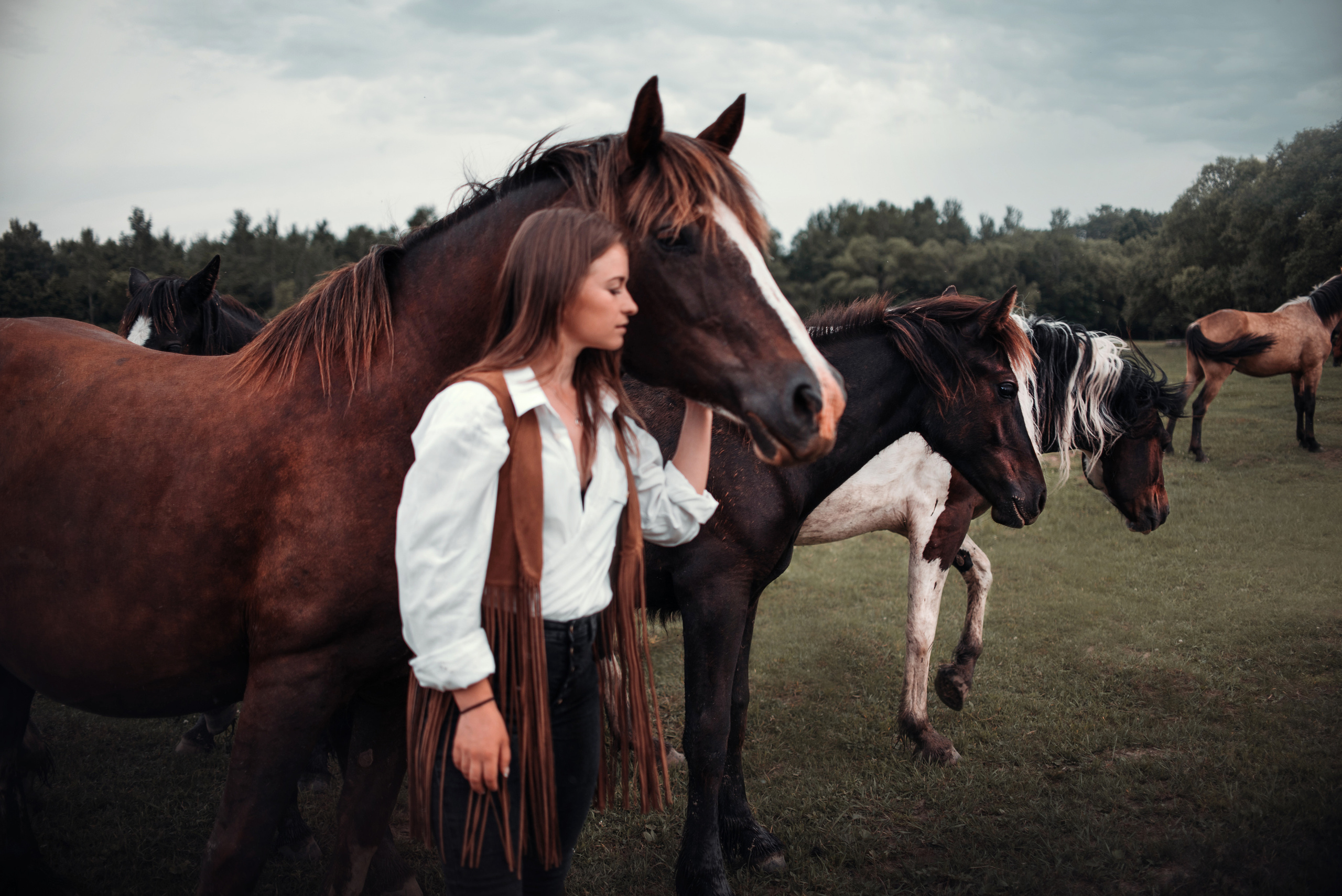 Конное: Катя и табун. Портфолио