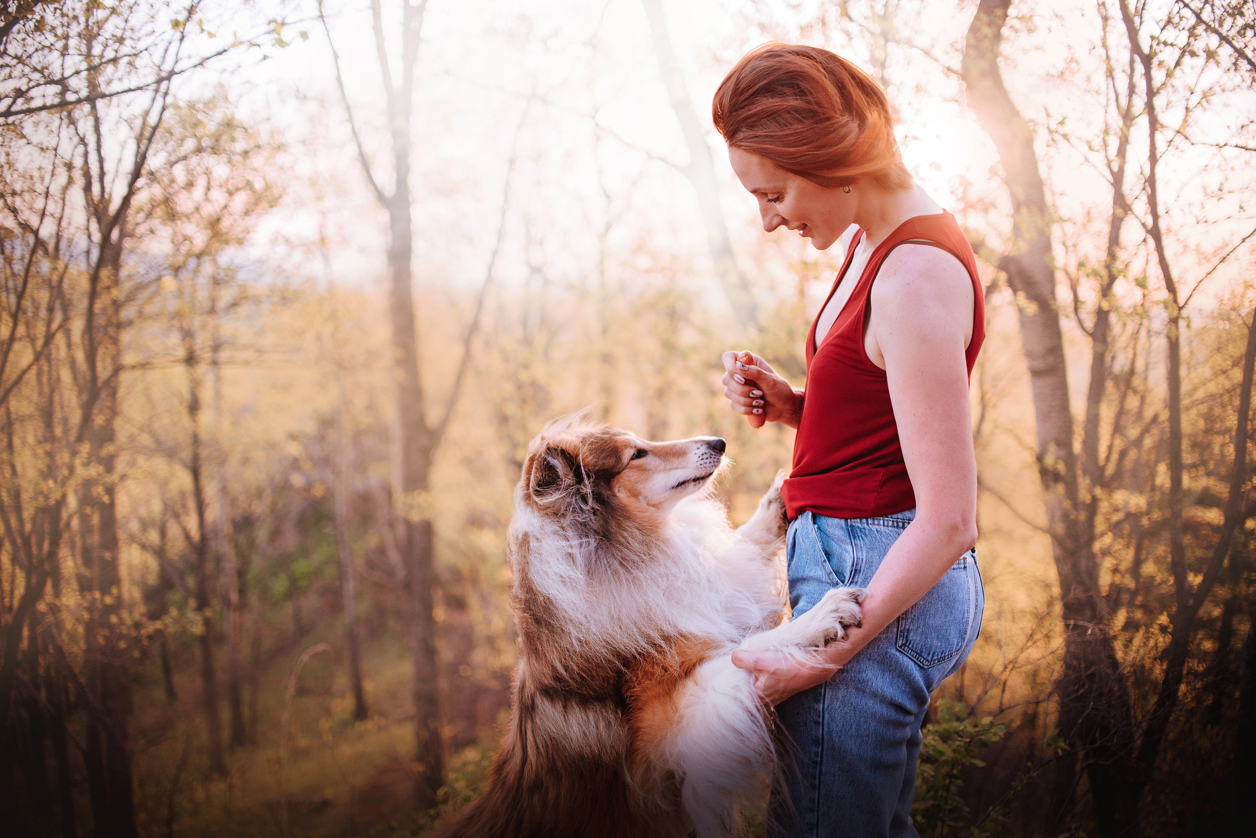 Колли Айра и Настя. Портфолио