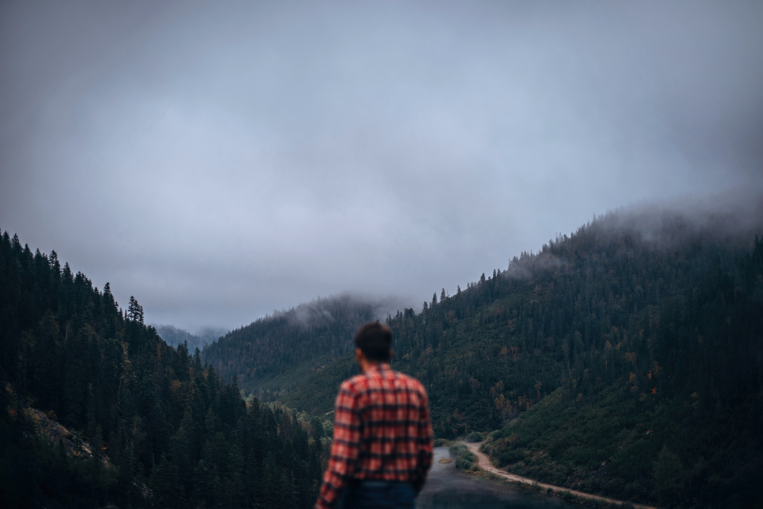 Амут: кеесхонд Верона, малинуа Бэрри, Юля и Леша. Портфолио