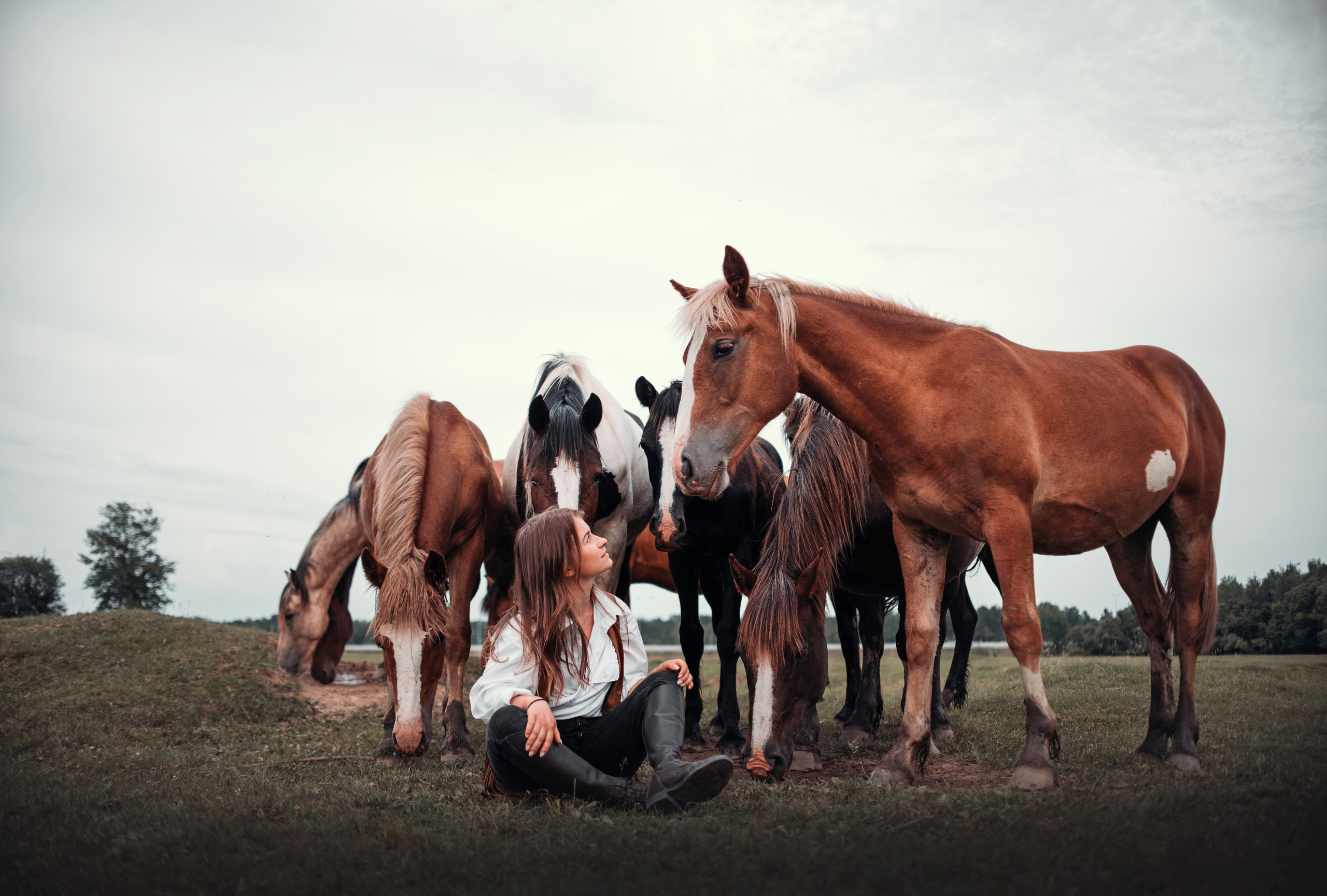 Конное: Катя и табун. Портфолио