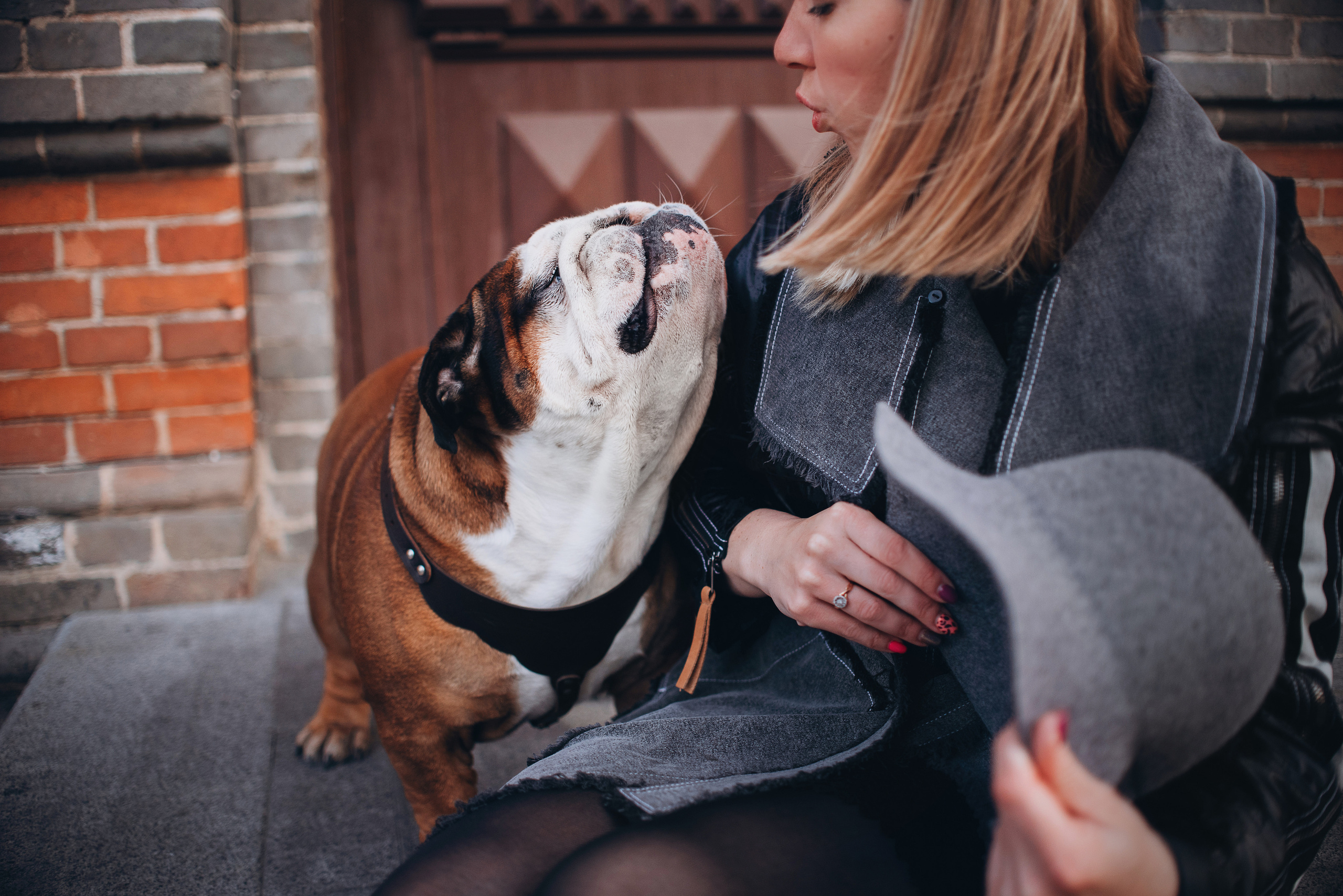 Рассвет в городе: бульдог Роберт и Юля. Портфолио