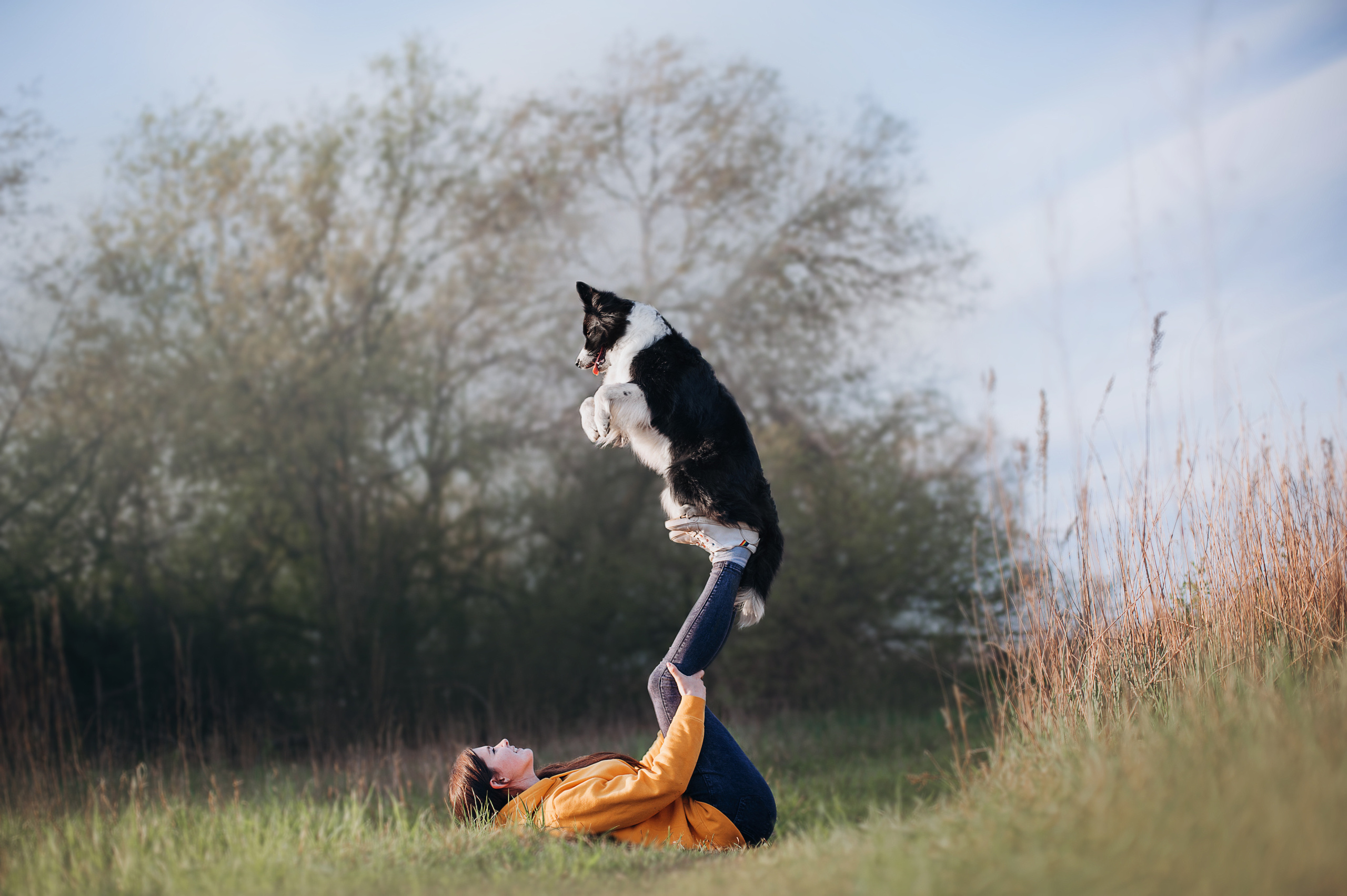 Бордер-колли Юппи, овчар Тайфун, Наташа и Дима. Портфолио