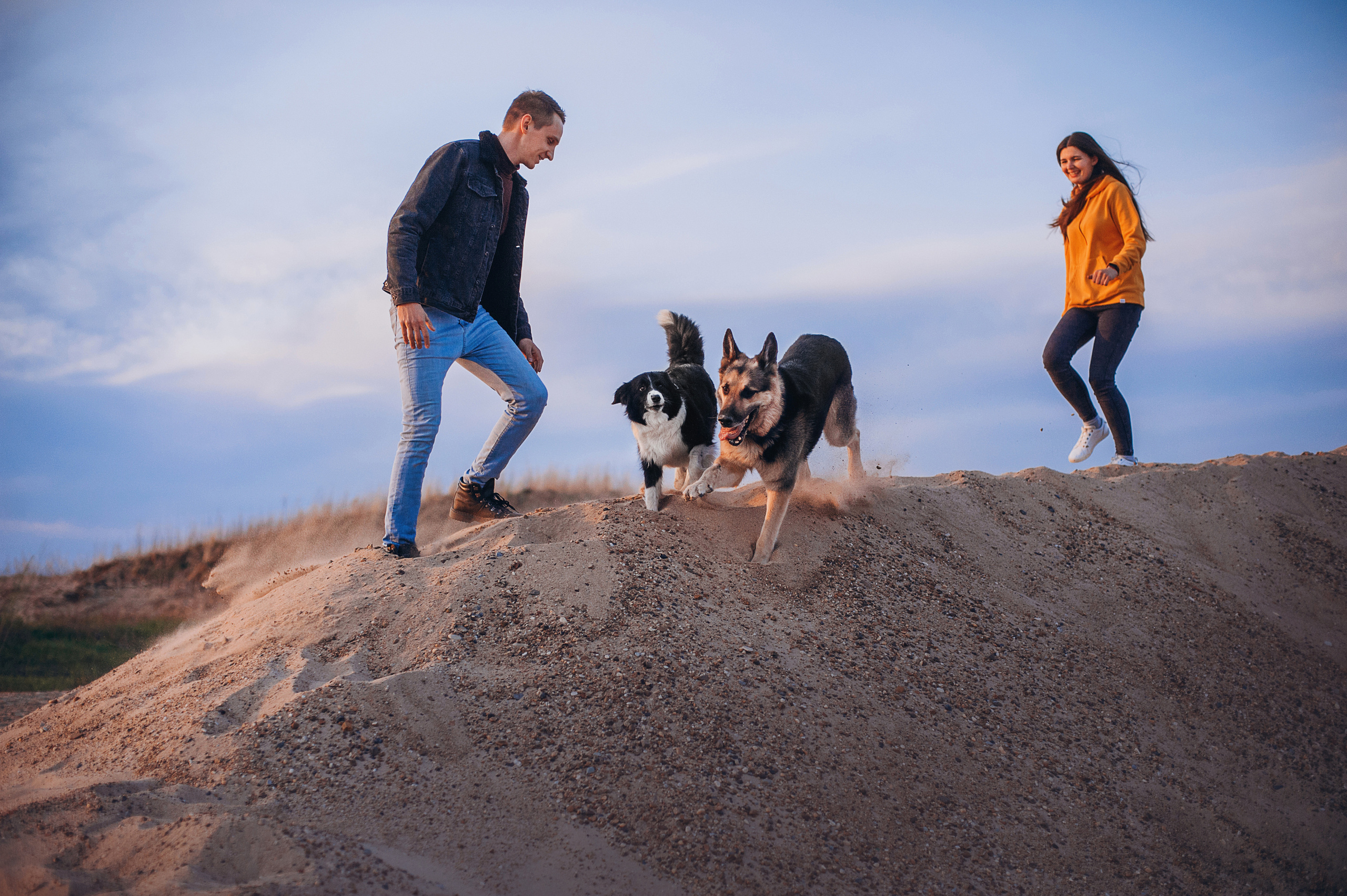 Бордер-колли Юппи, овчар Тайфун, Наташа и Дима. Портфолио