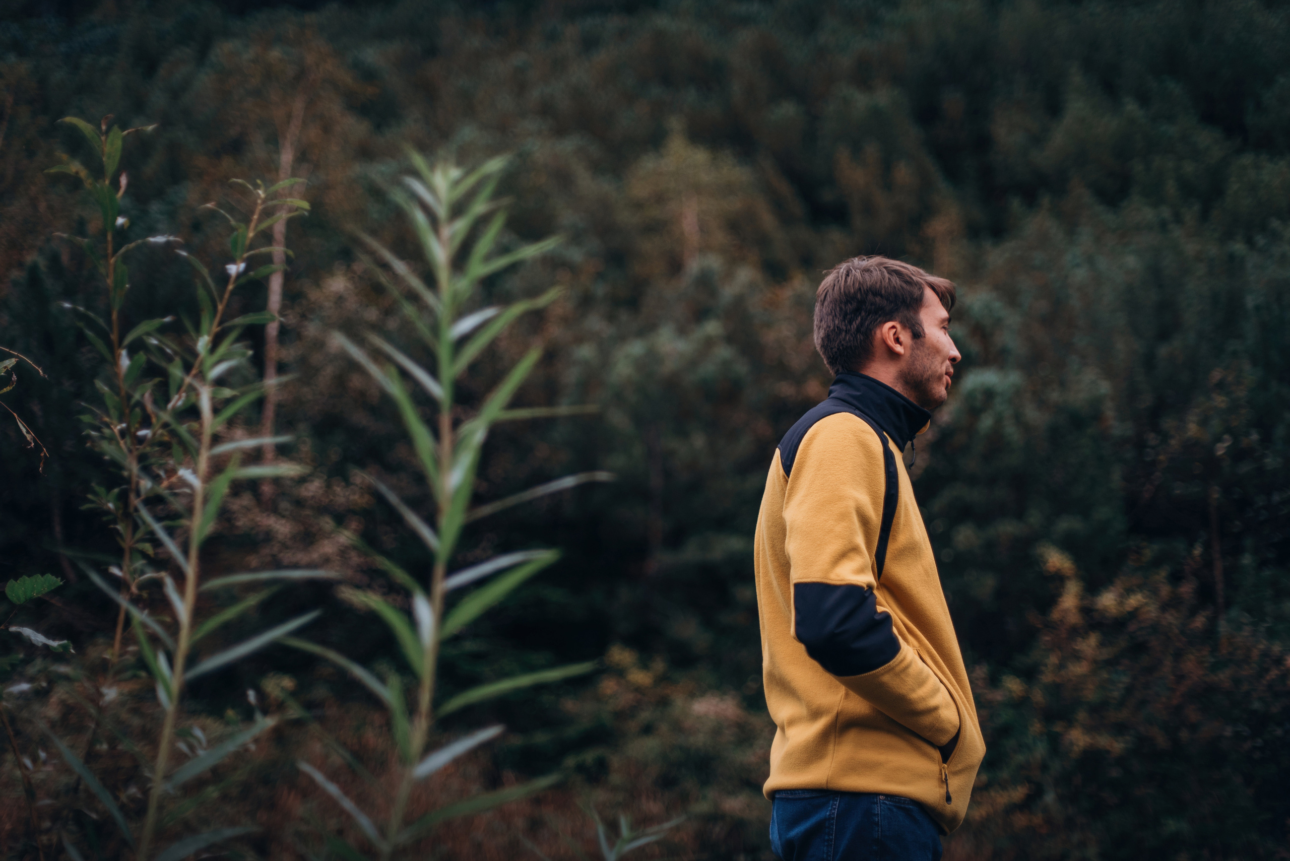 Амут: кеесхонд Верона, малинуа Бэрри, Юля и Леша. Портфолио