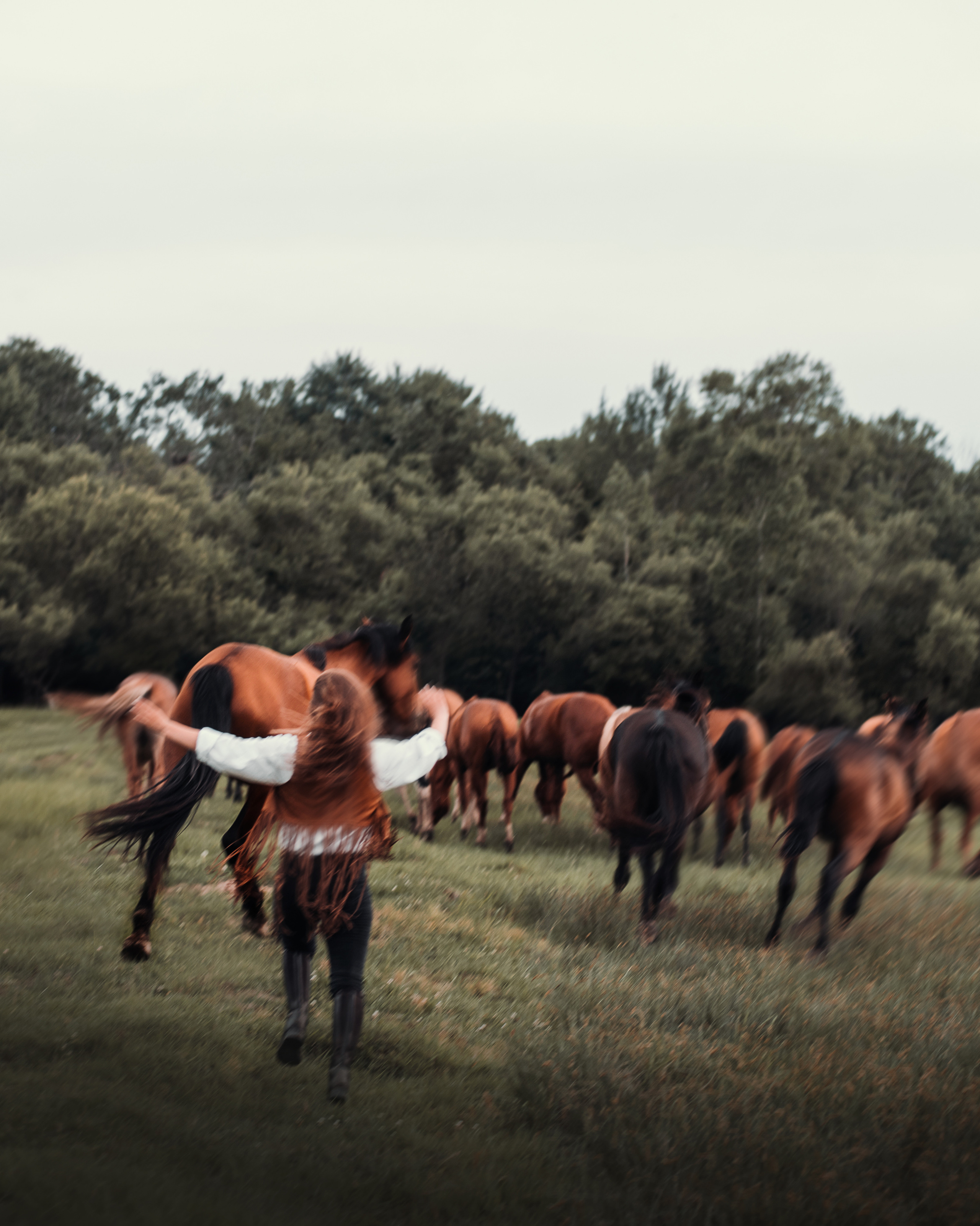 Конное: Катя и табун. Портфолио