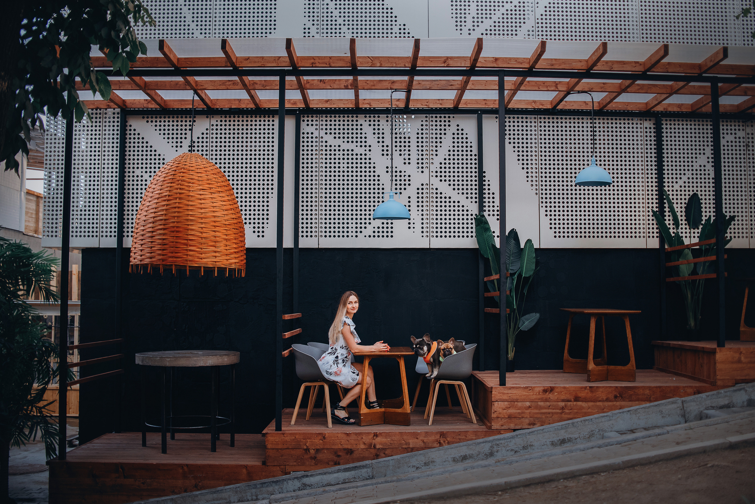 Рассвет в городе: французские бульдоги Лео и Фрэнк и Алена. Портфолио