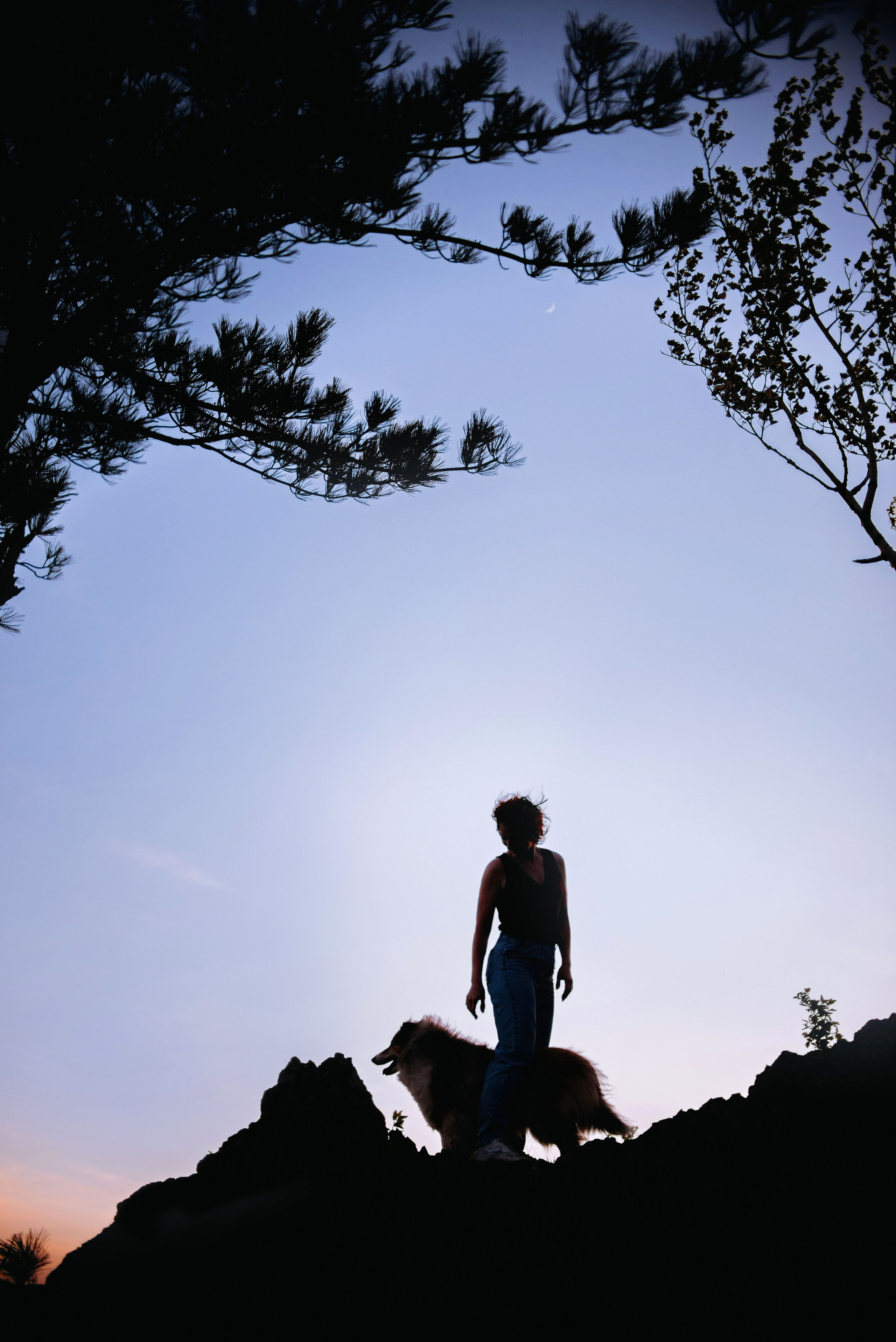 Колли Айра и Настя. Портфолио