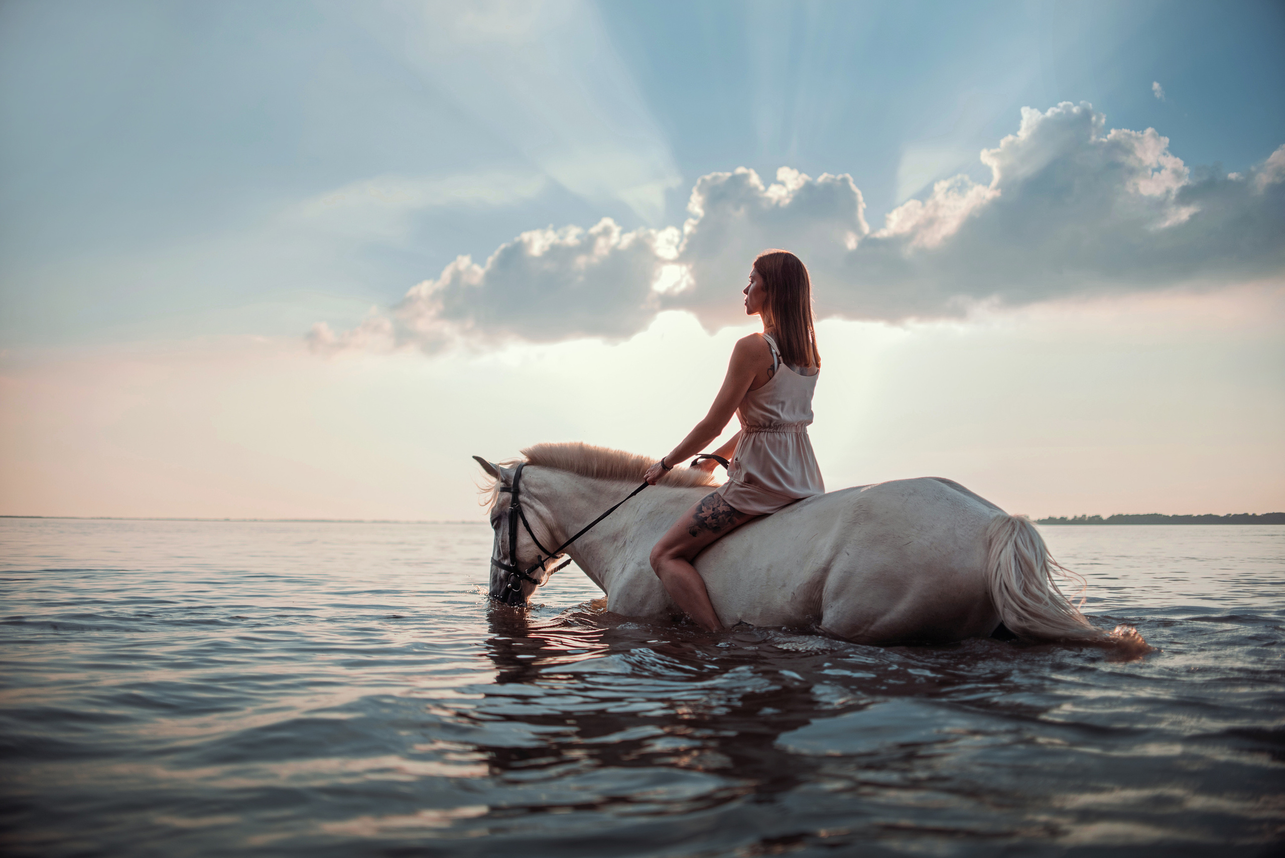 Конное: Лера и Злата на берегу. Портфолио