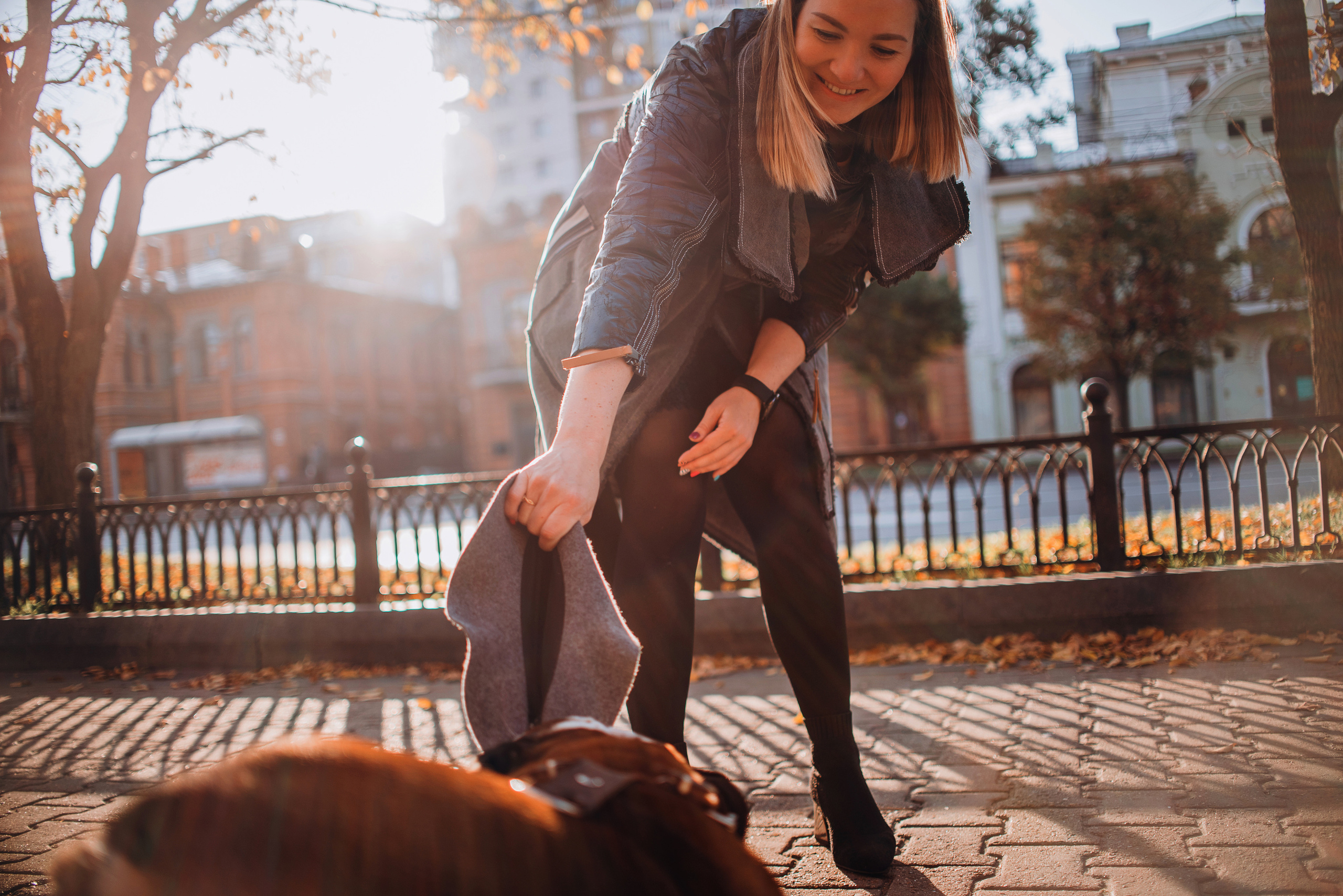 Рассвет в городе: бульдог Роберт и Юля. Портфолио