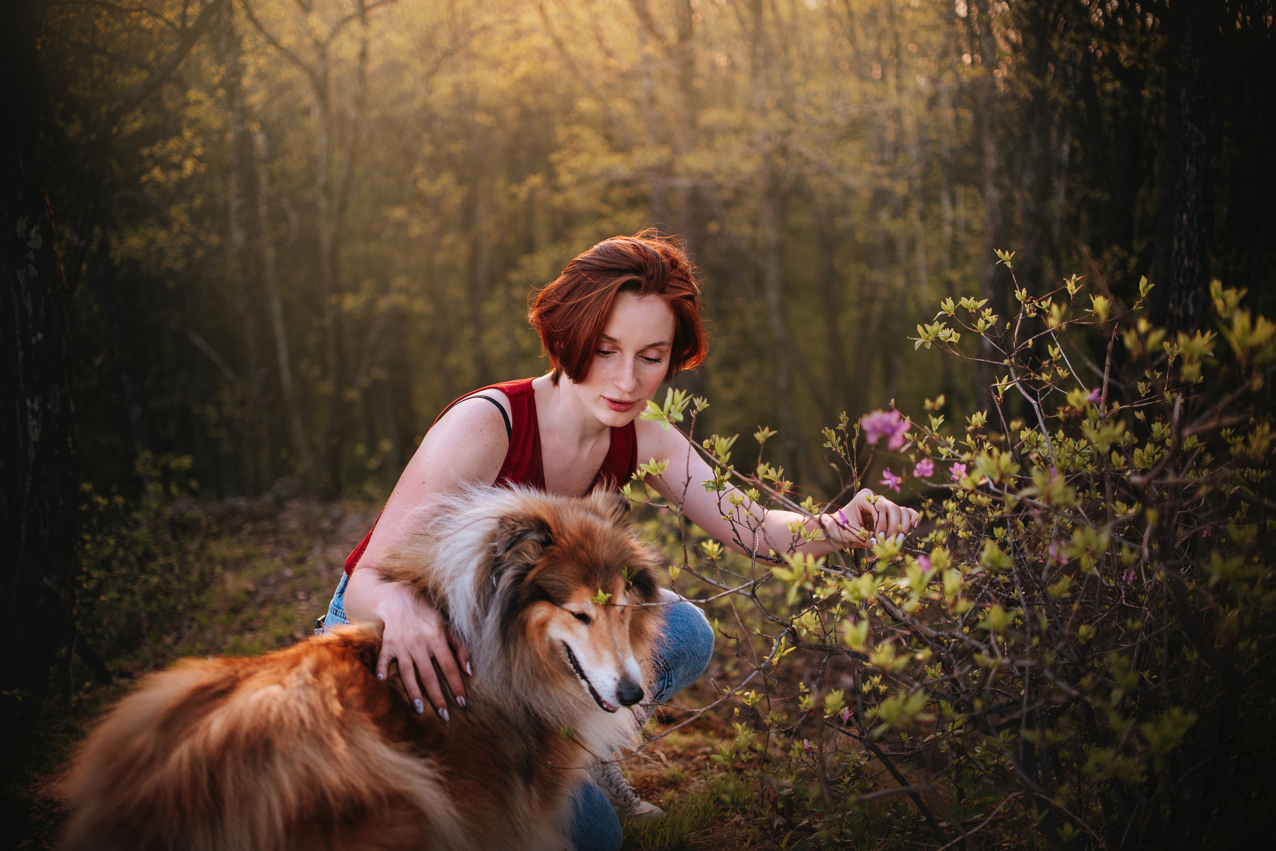 Колли Айра и Настя. Портфолио