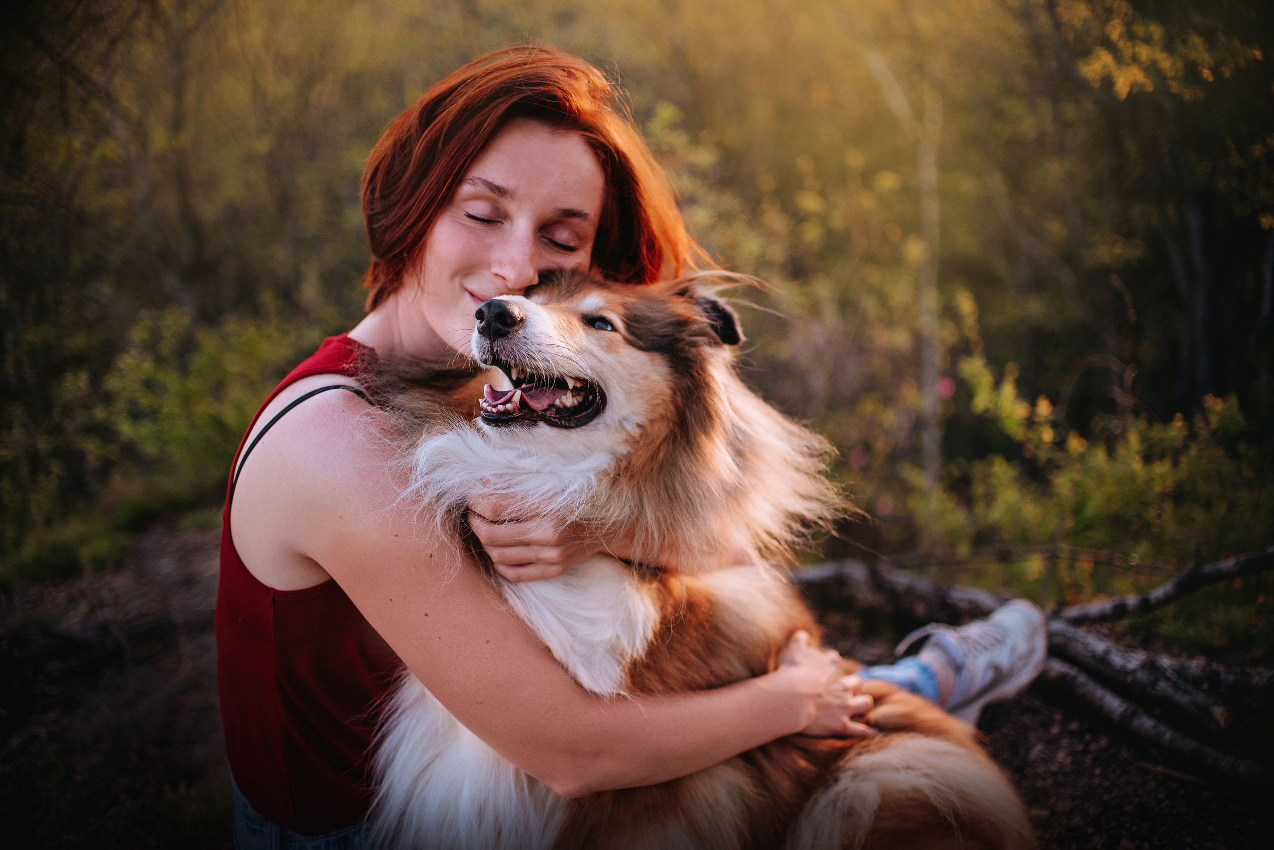 Колли Айра и Настя. Портфолио