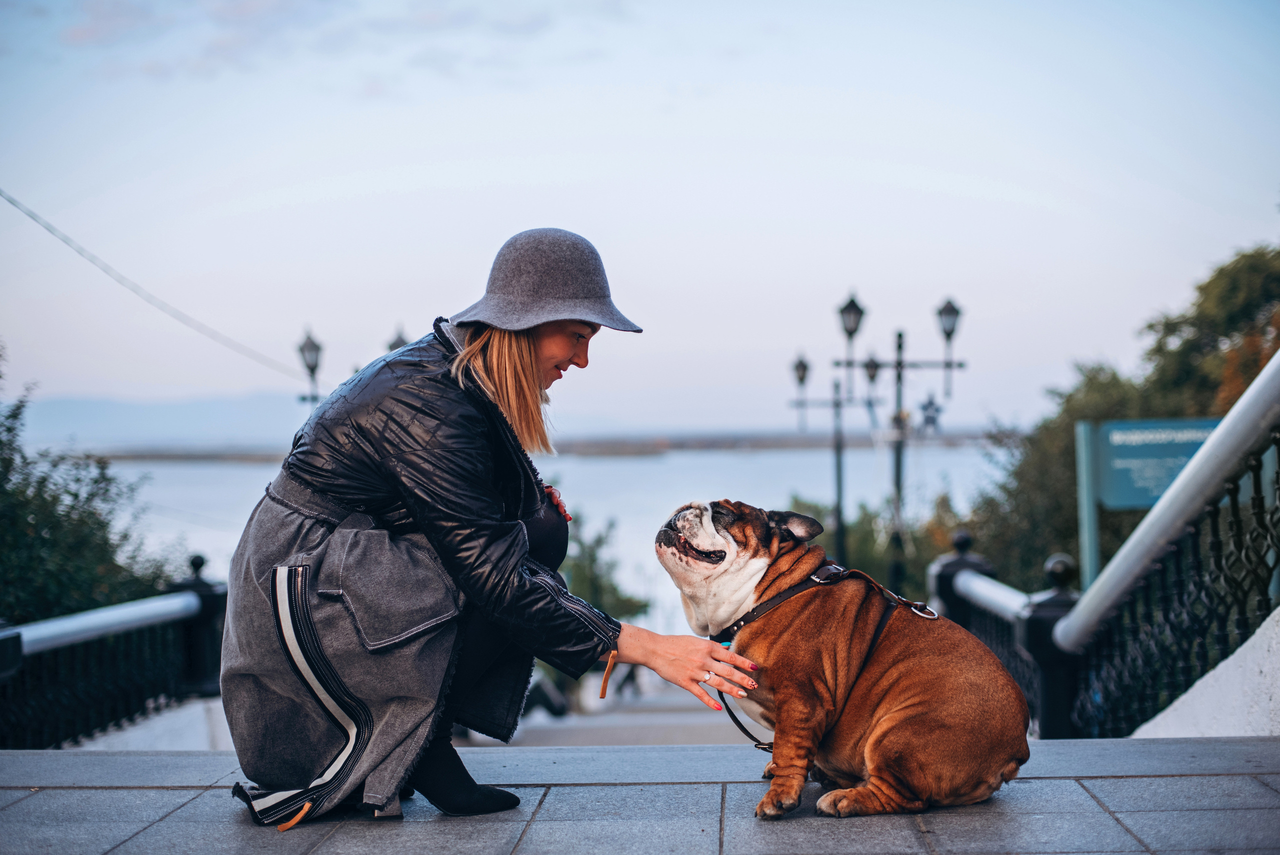 Рассвет в городе: бульдог Роберт и Юля. Портфолио
