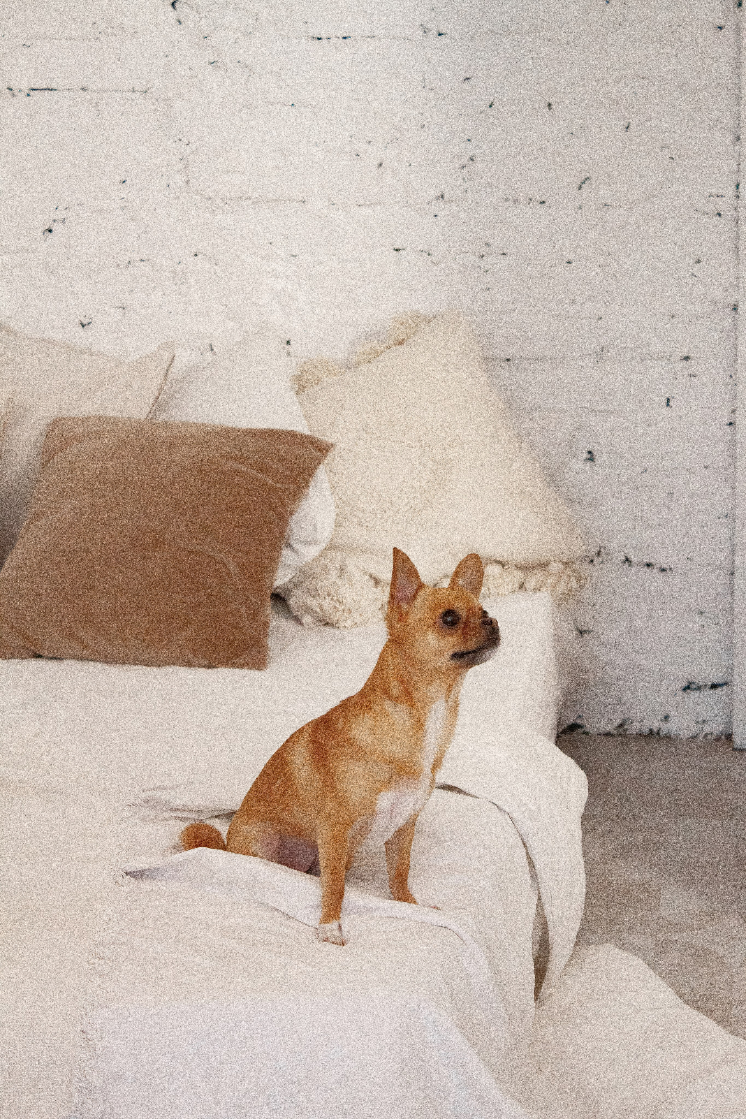 К & С & Мотя. Фотограф Екатеринбург Елена Минина