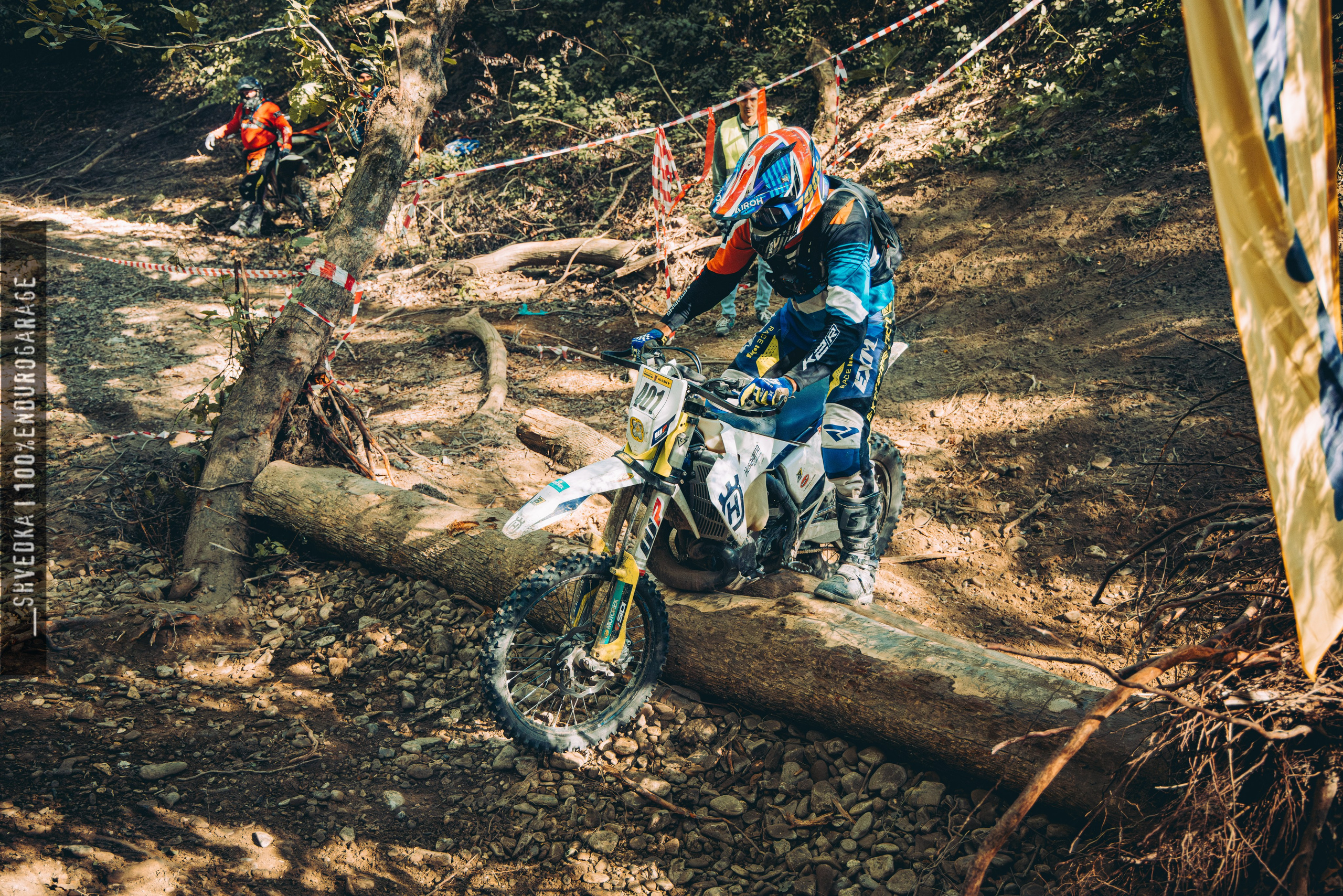 2 лесной день. Ваш экстрим фотограф Кудрева Яна