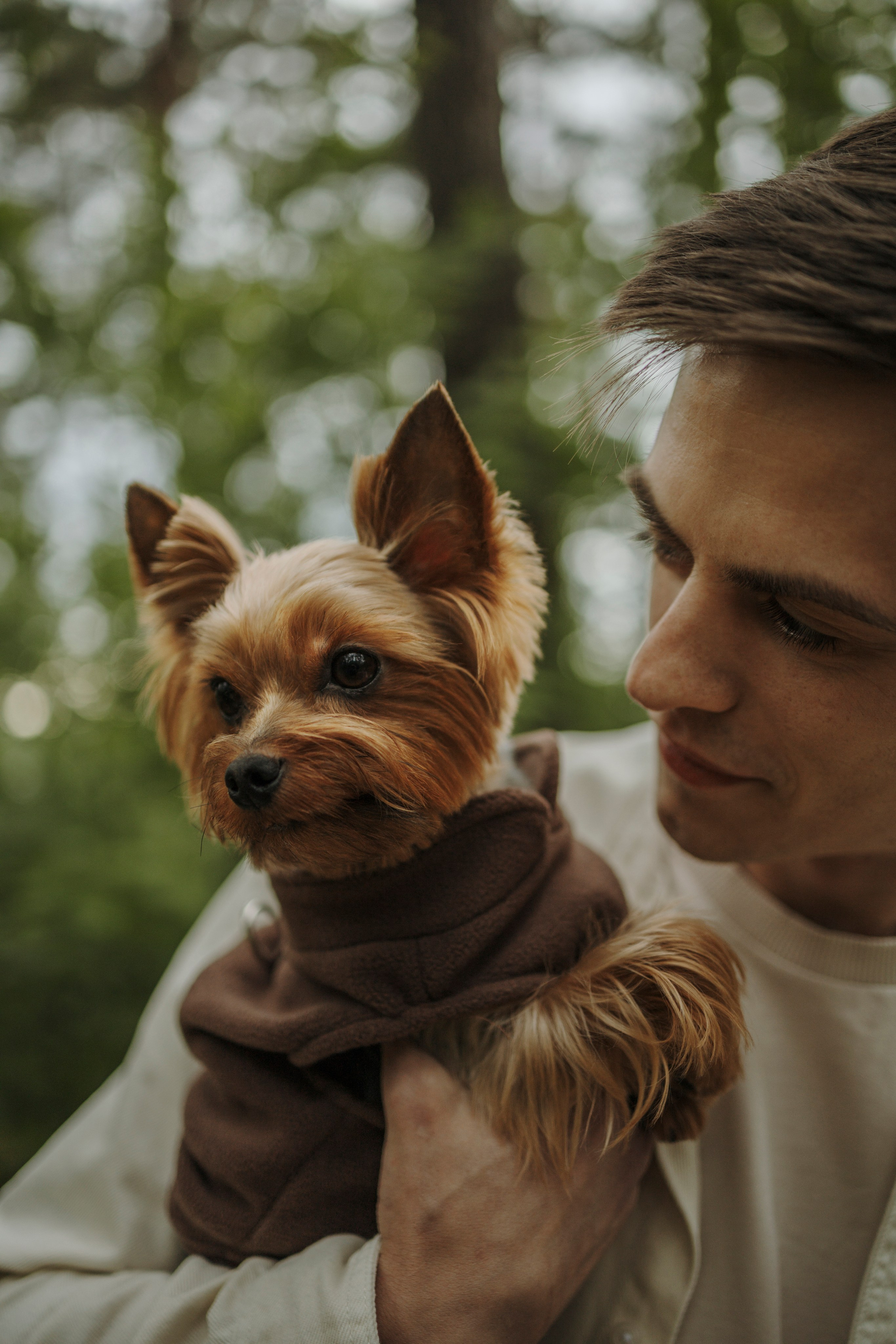 День из жизни Чуи и его семьи. Фотограф-анималист в Санкт-Петеребурге Титова Алиса