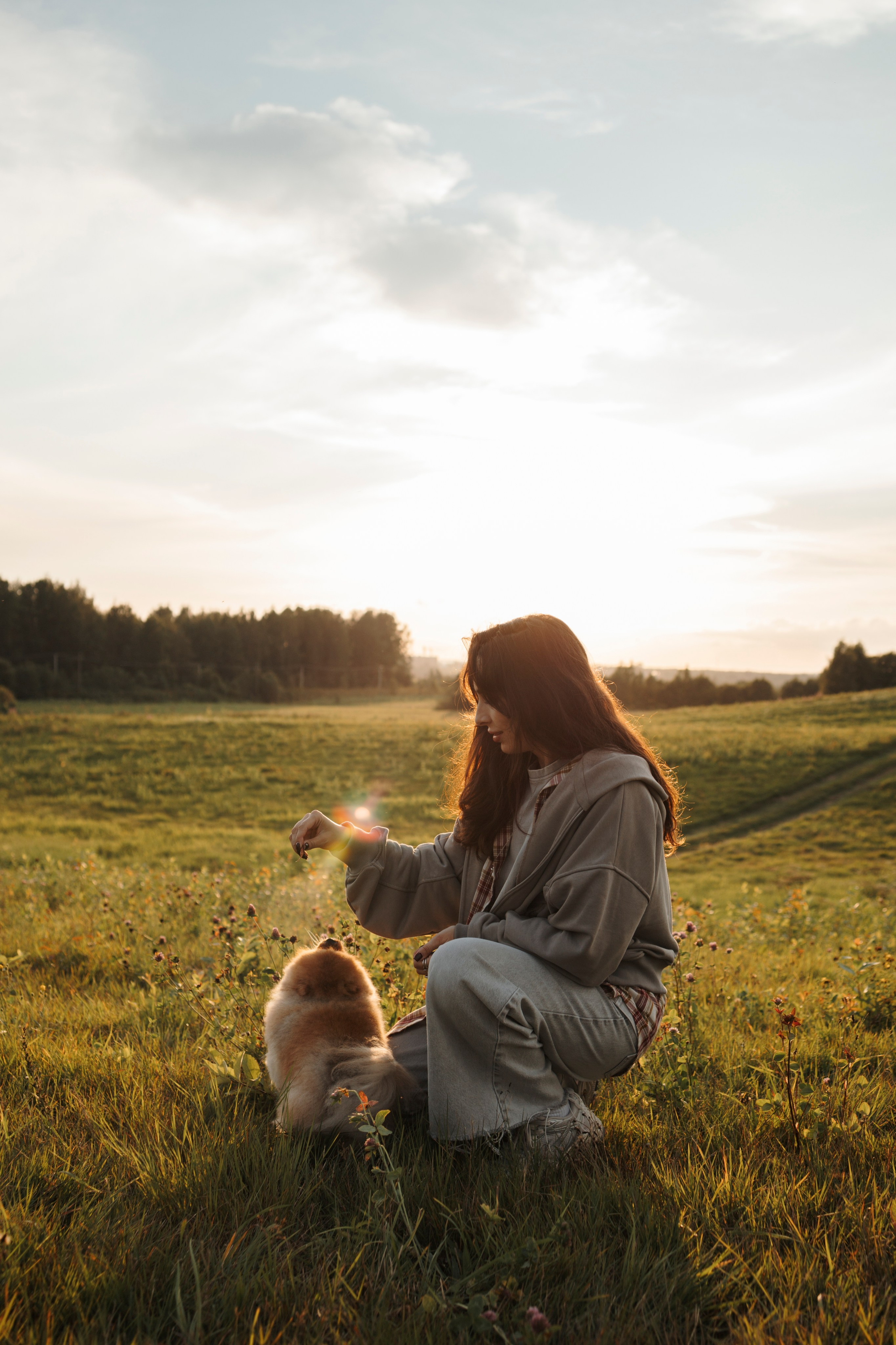 На закате Катерина, Луна и Рикки. Фотограф-анималист в Санкт-Петеребурге Титова Алиса