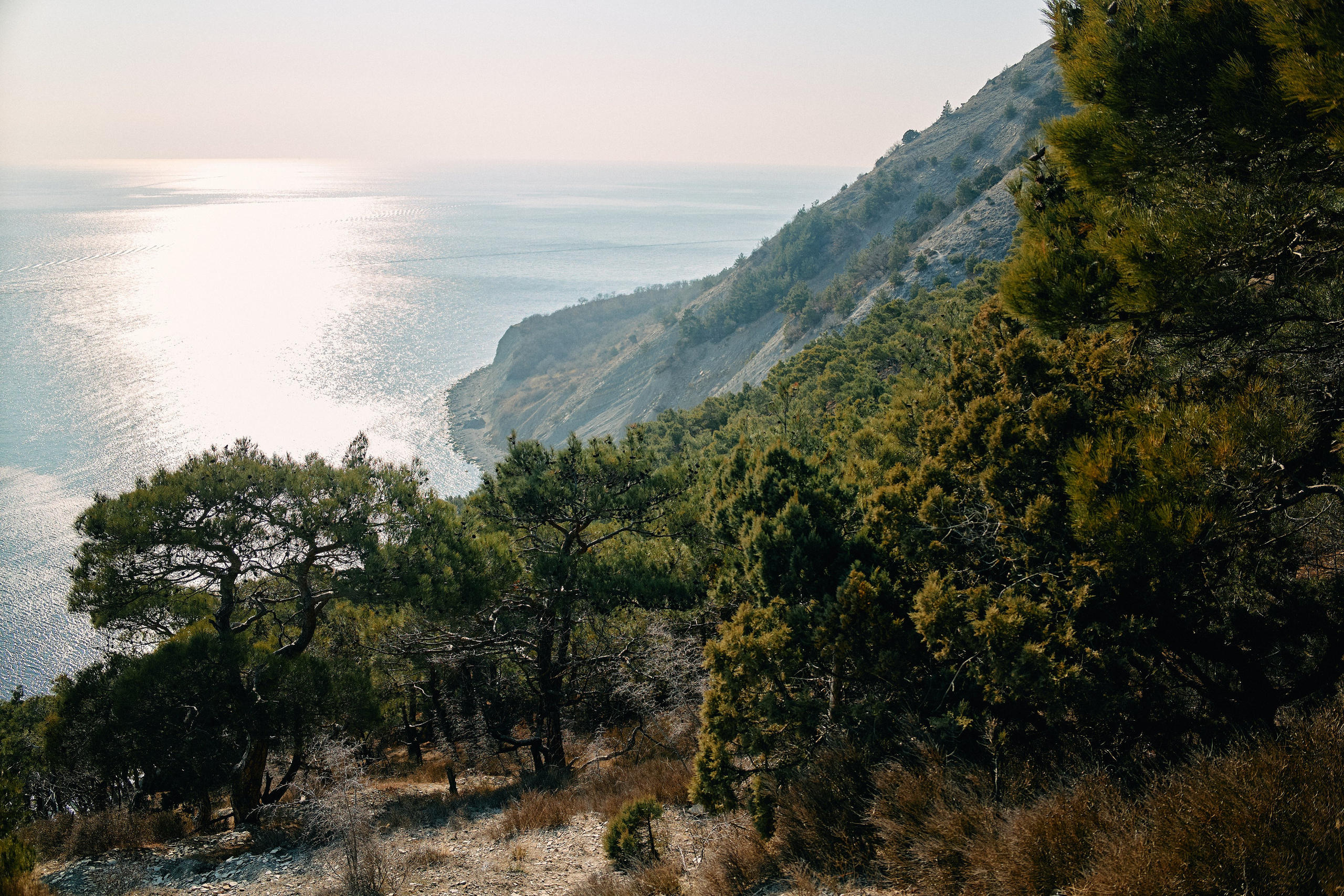Юг России. Профессиональный Фотограф во Владимире, в Москве и в Суздале — Полина Романычева