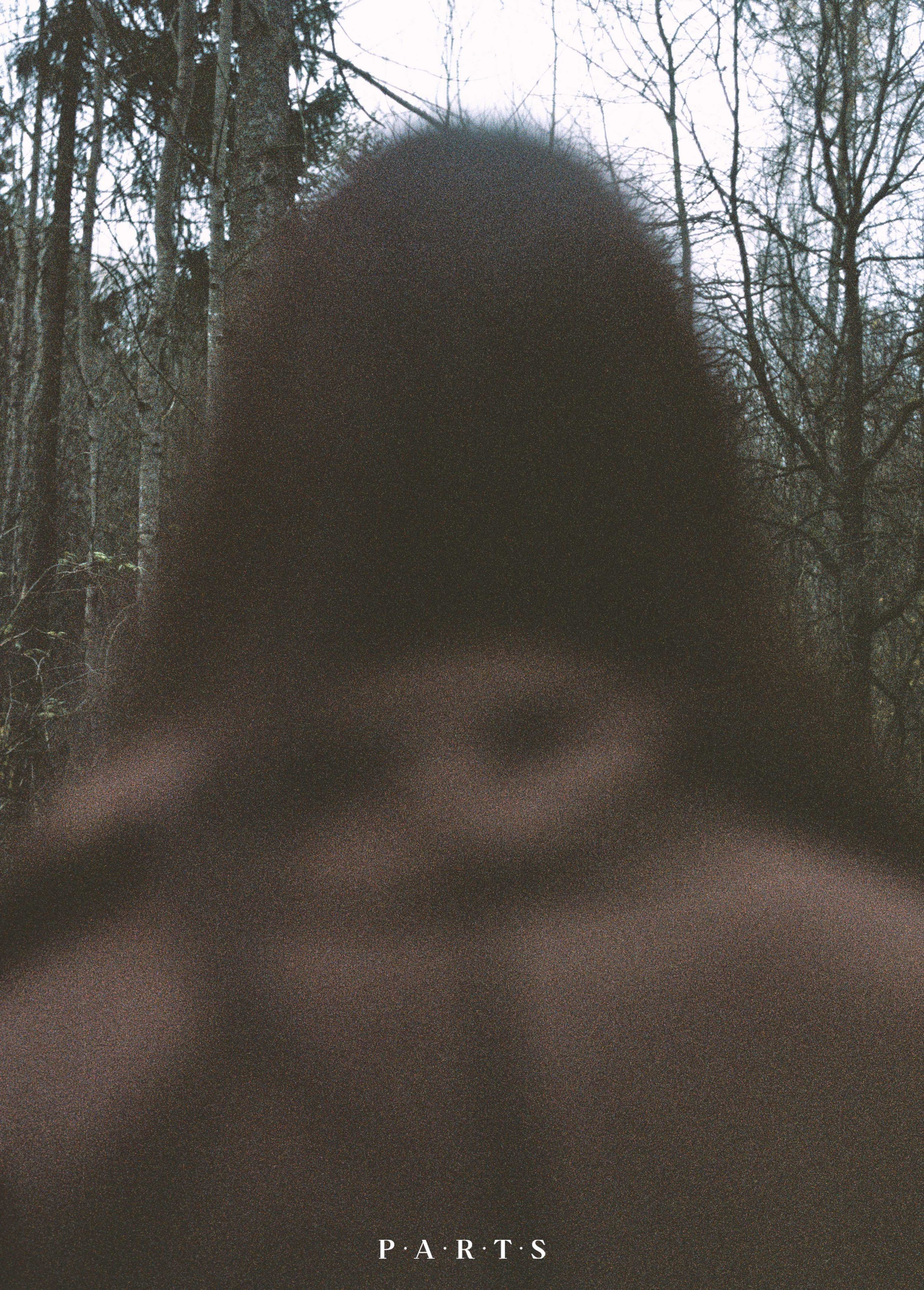 ㅤ. ㅤ