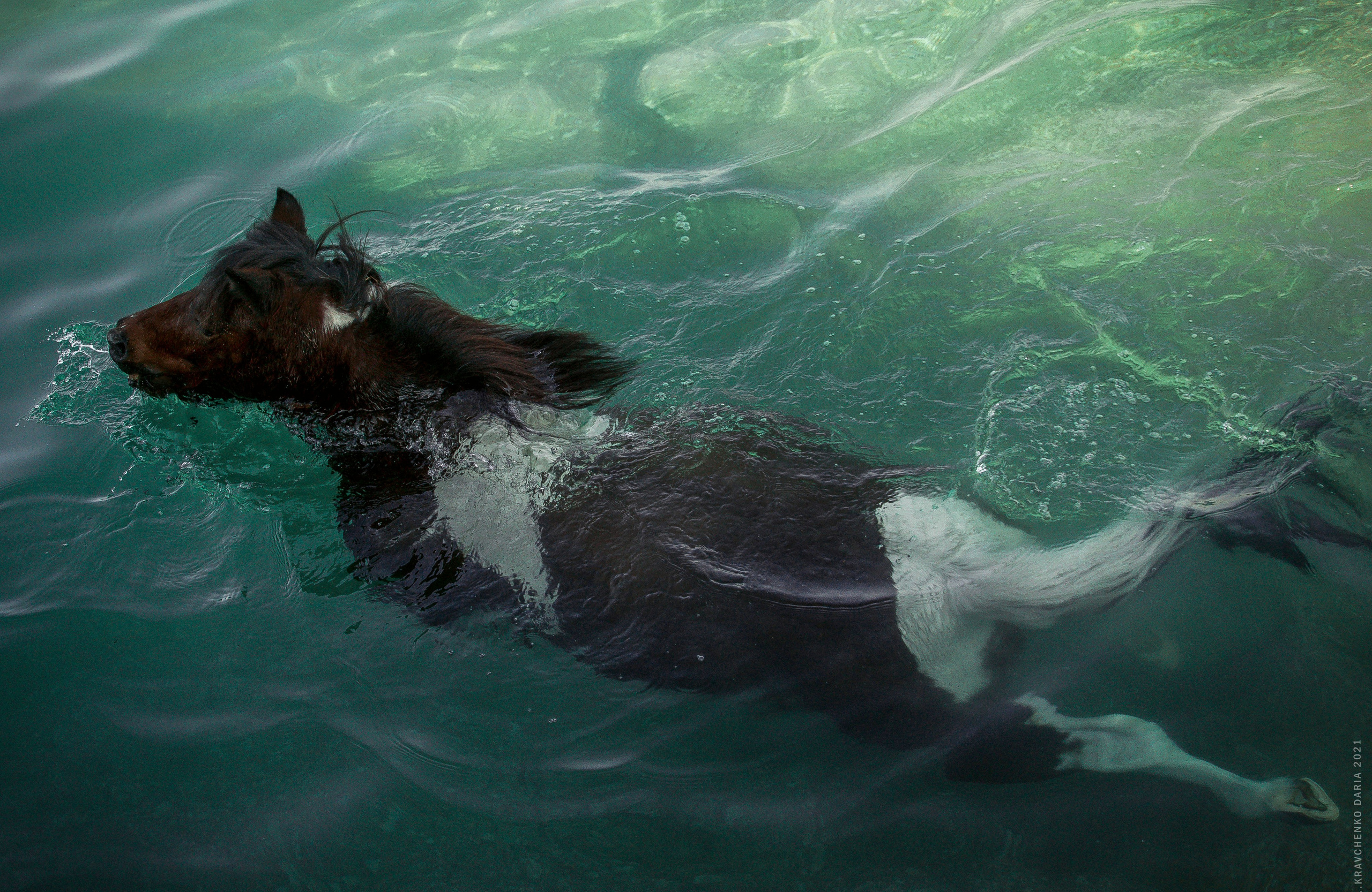 Миф и Фунтик. Фотограф в Севастополе