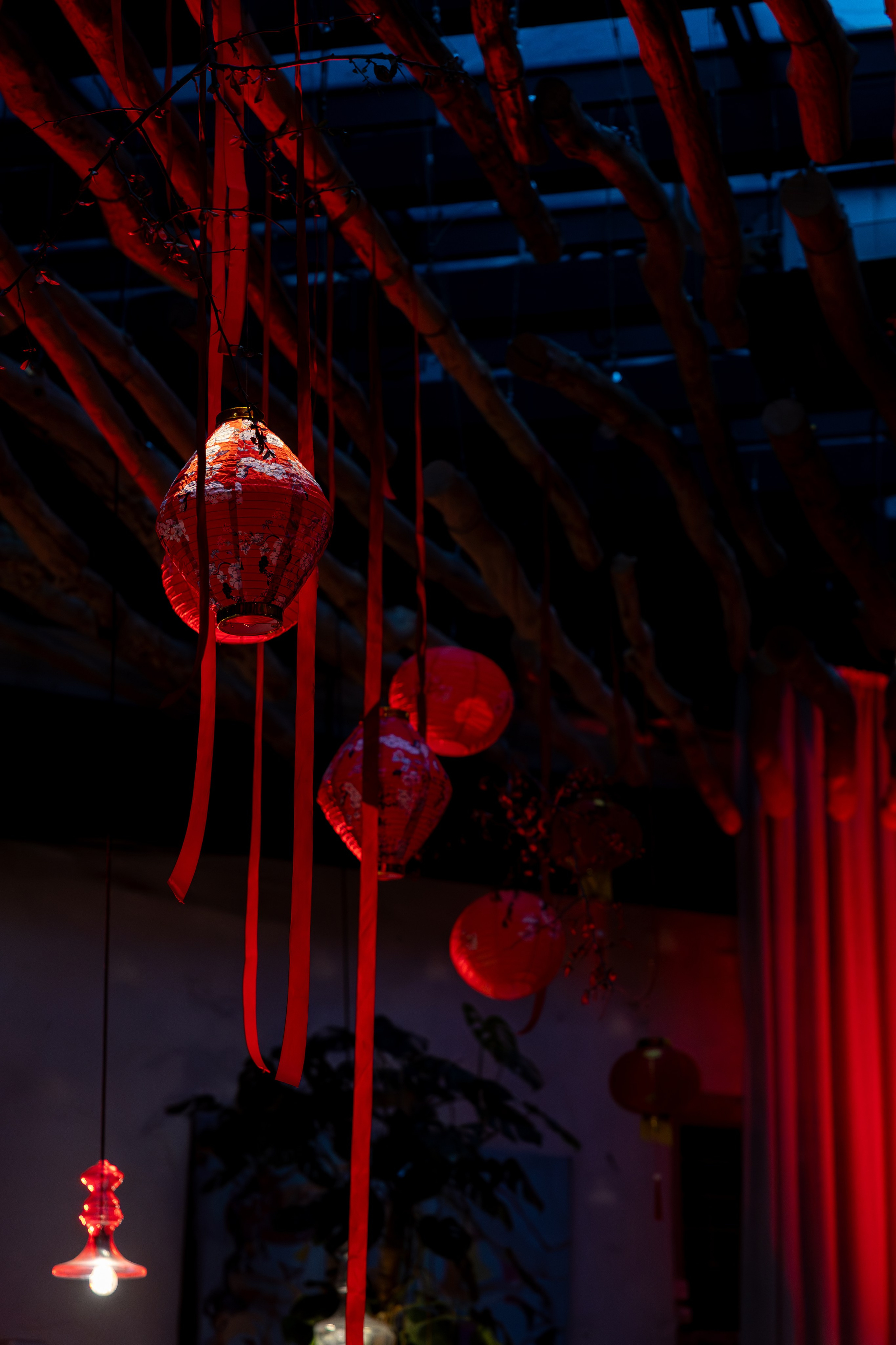 Азия в Гастродворе. Дженбаз Павел — фотограф в Ялте